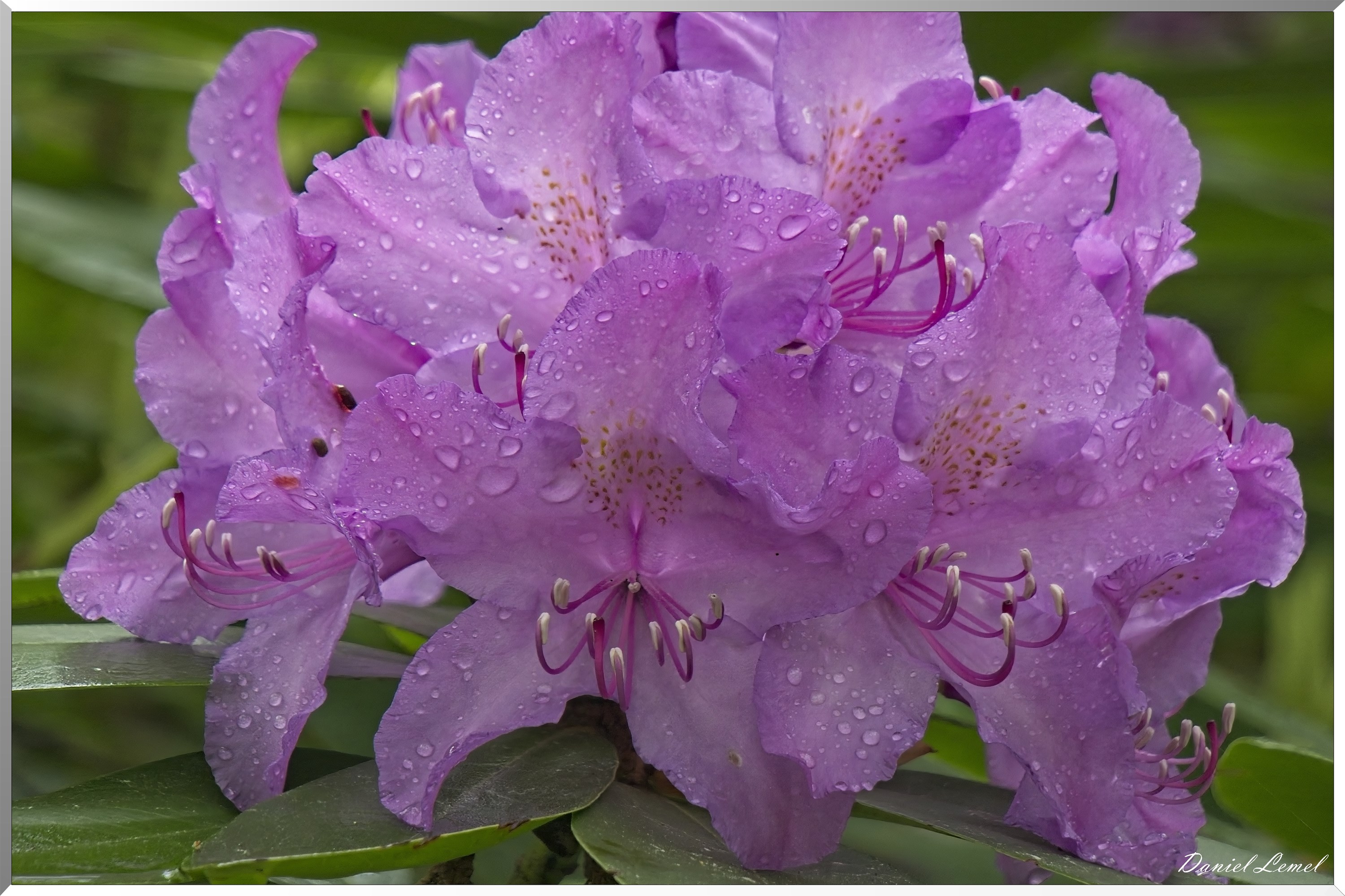 St-Aubin-sur-Gaillon