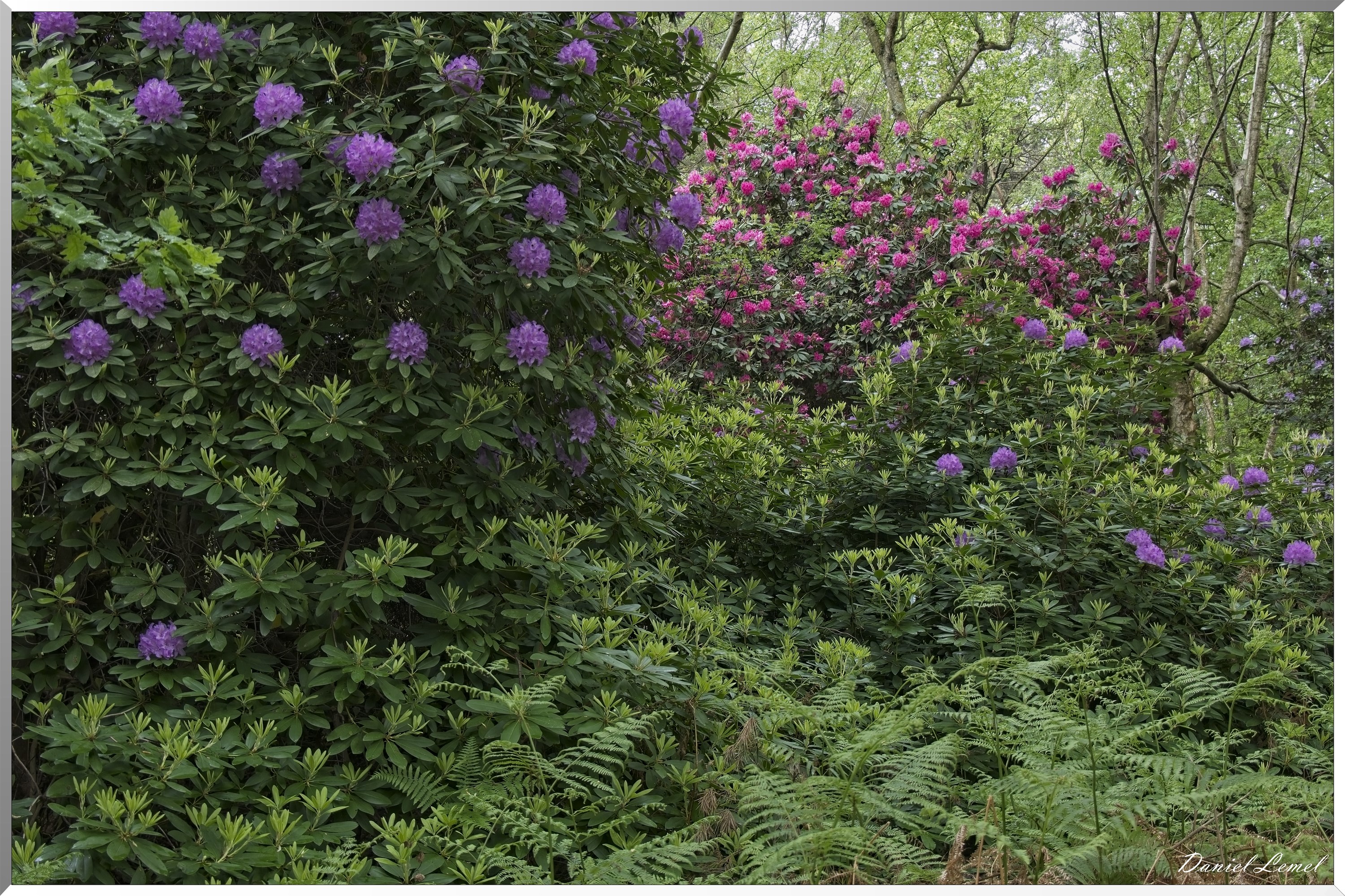 St-Aubin-sur-Gaillon