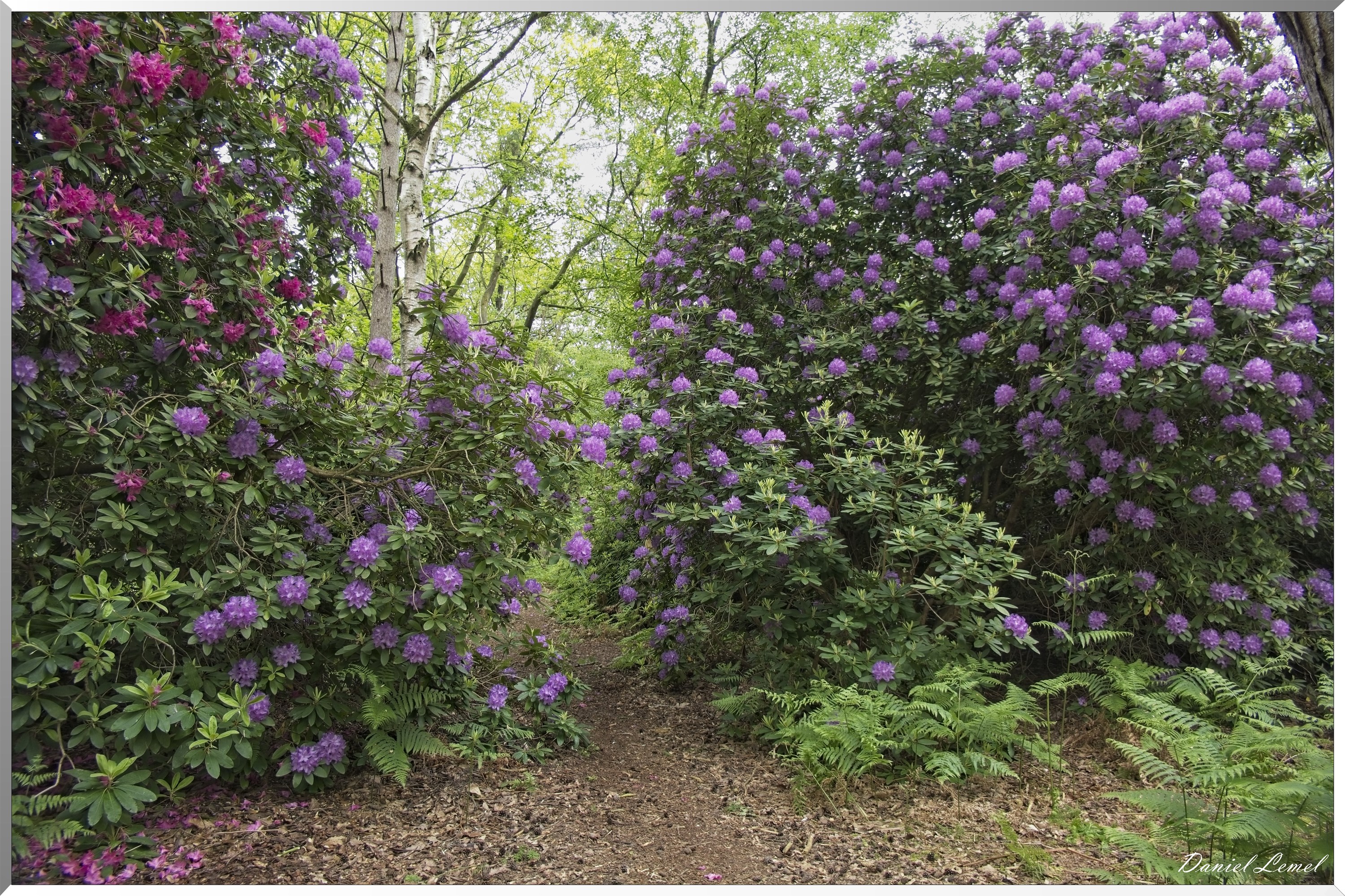St-Aubin-sur-Gaillon