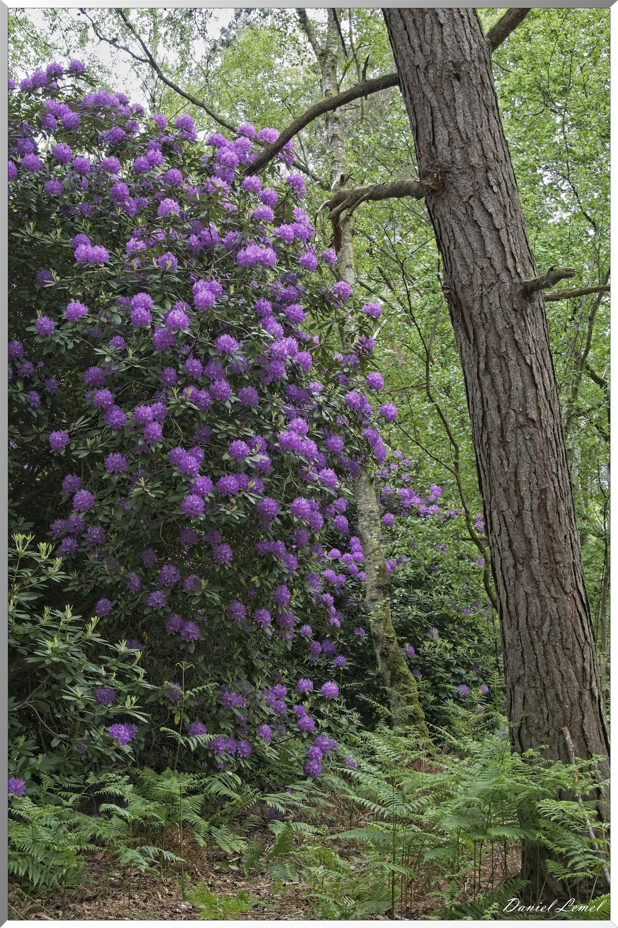 St-Aubin-sur-Gaillon