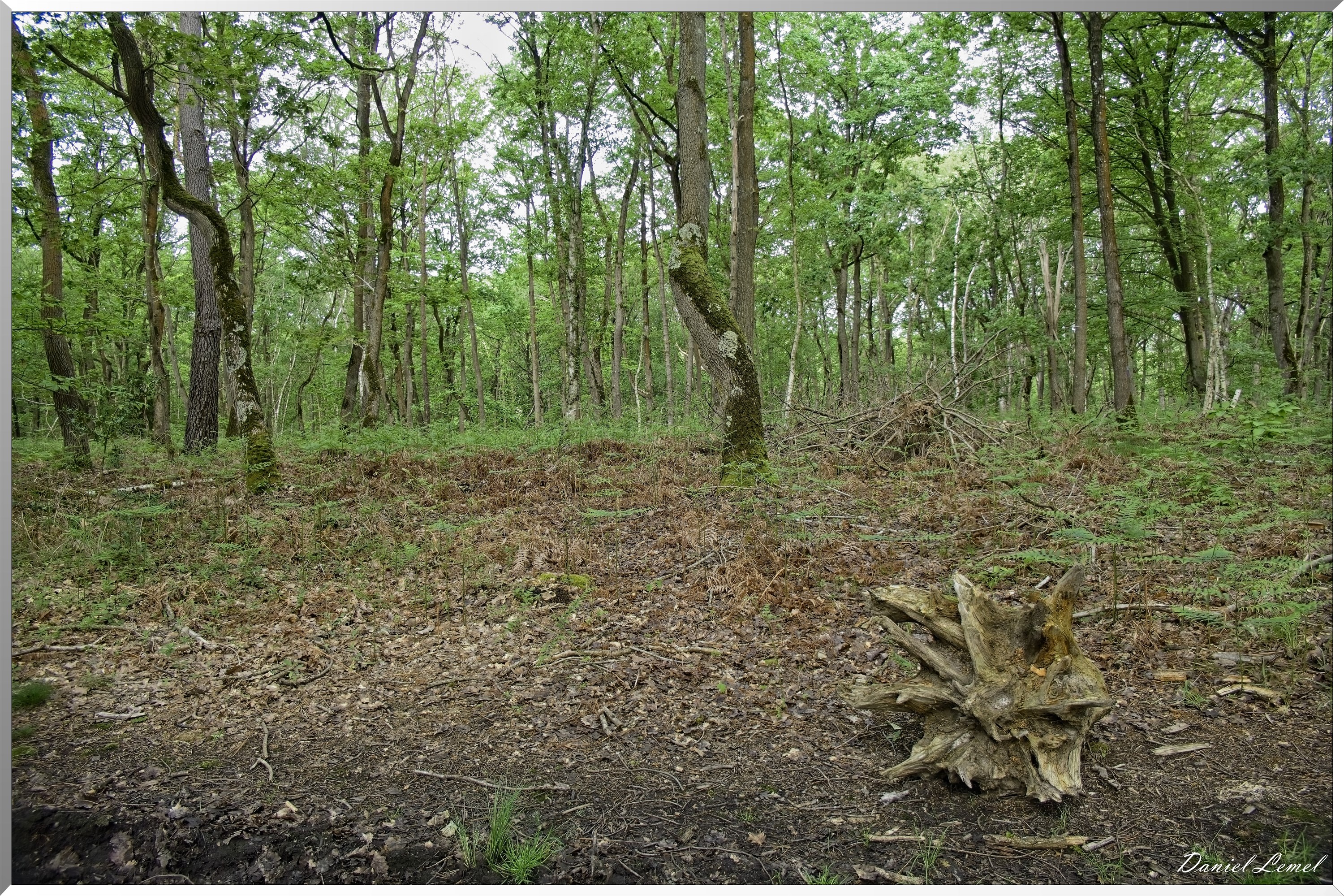 St-Aubin-sur-Gaillon