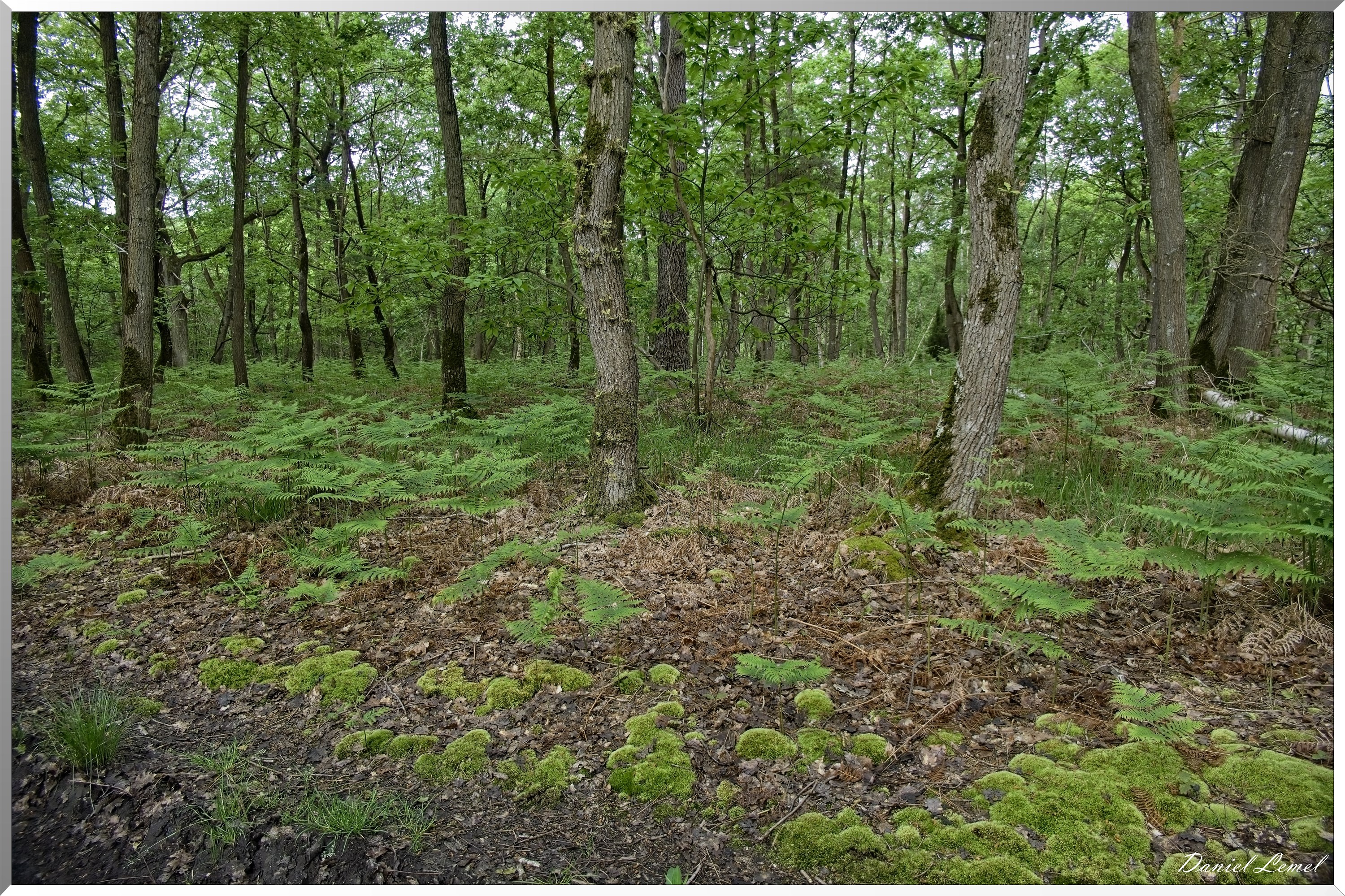 St-Aubin-sur-Gaillon