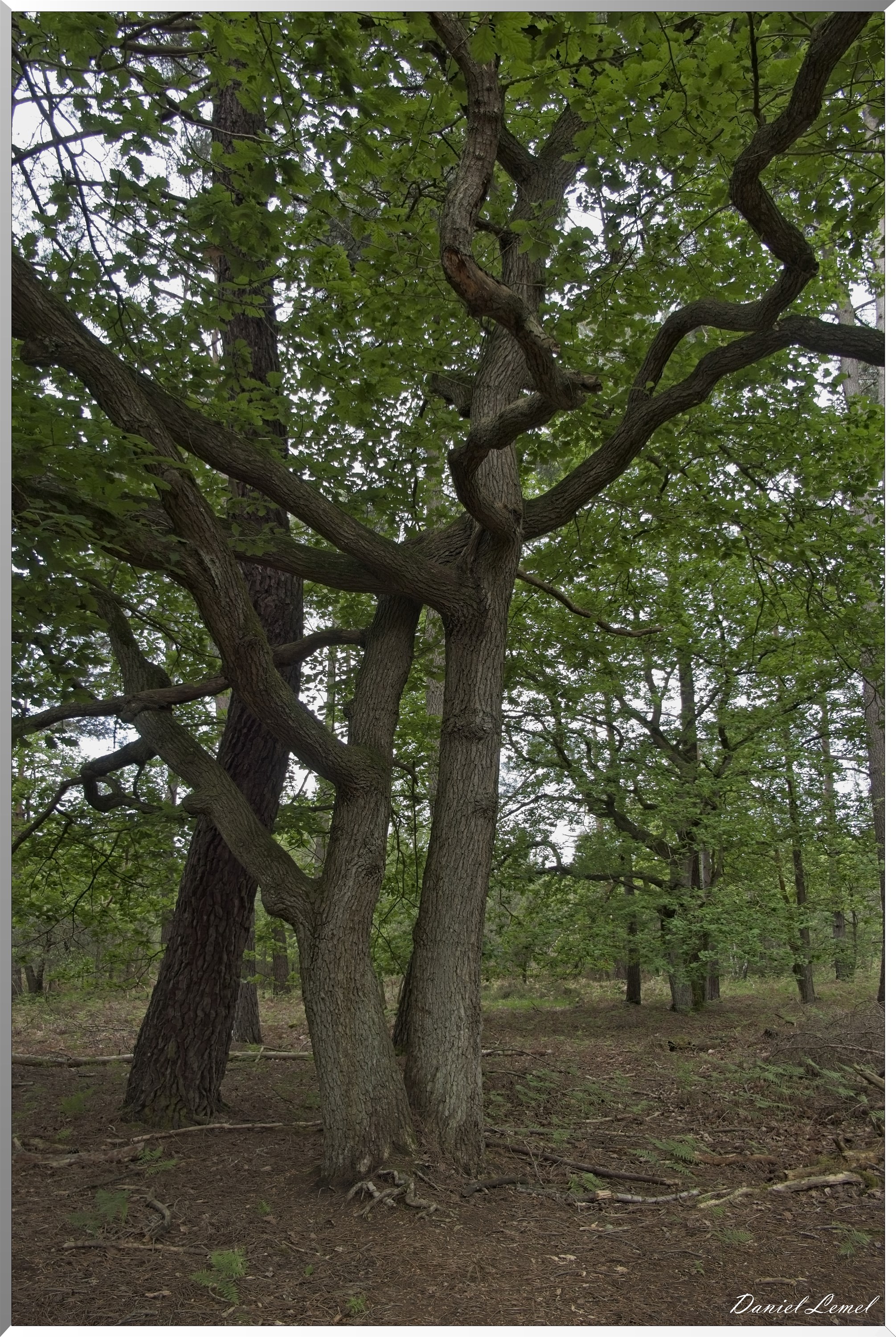 St-Aubin-sur-Gaillon