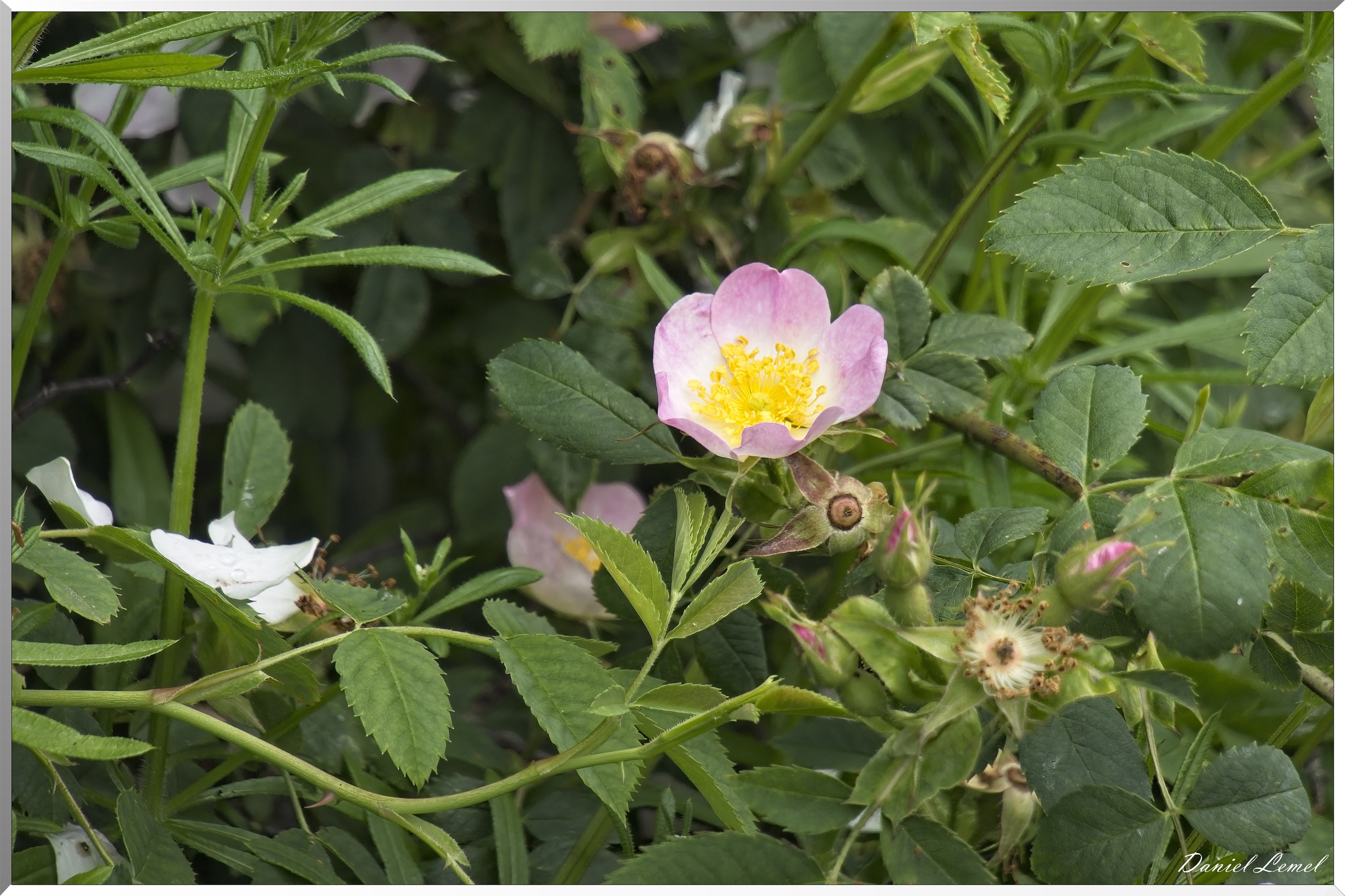 St-Aubin-sur-Gaillon