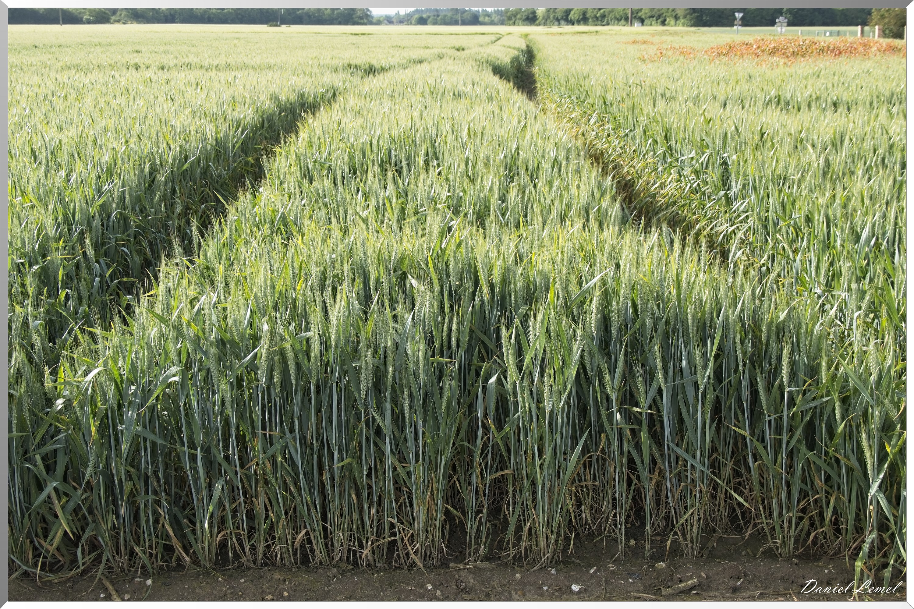 Notre-Dame-de-l'Isle