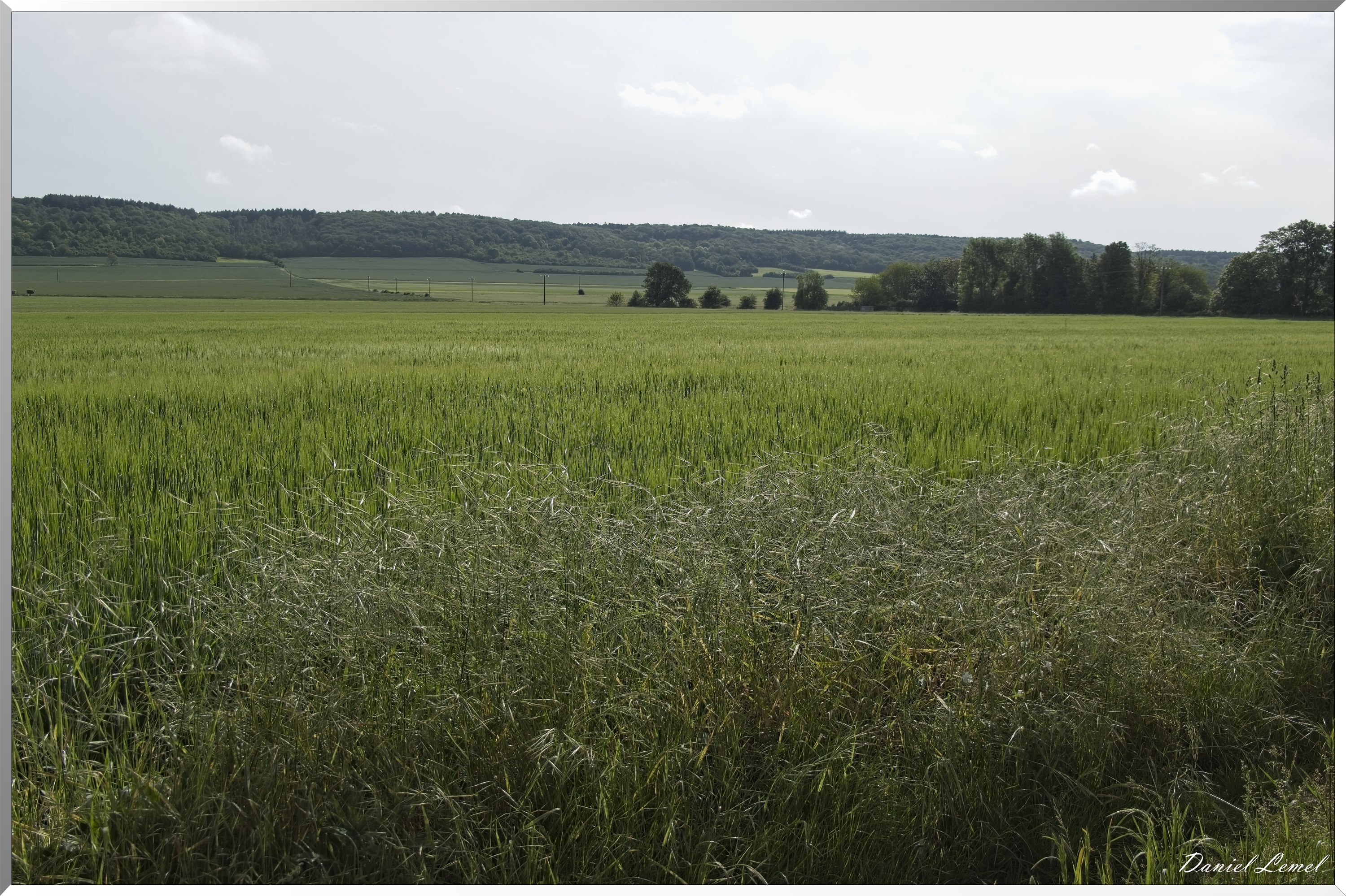 Notre-Dame-de-l'Isle