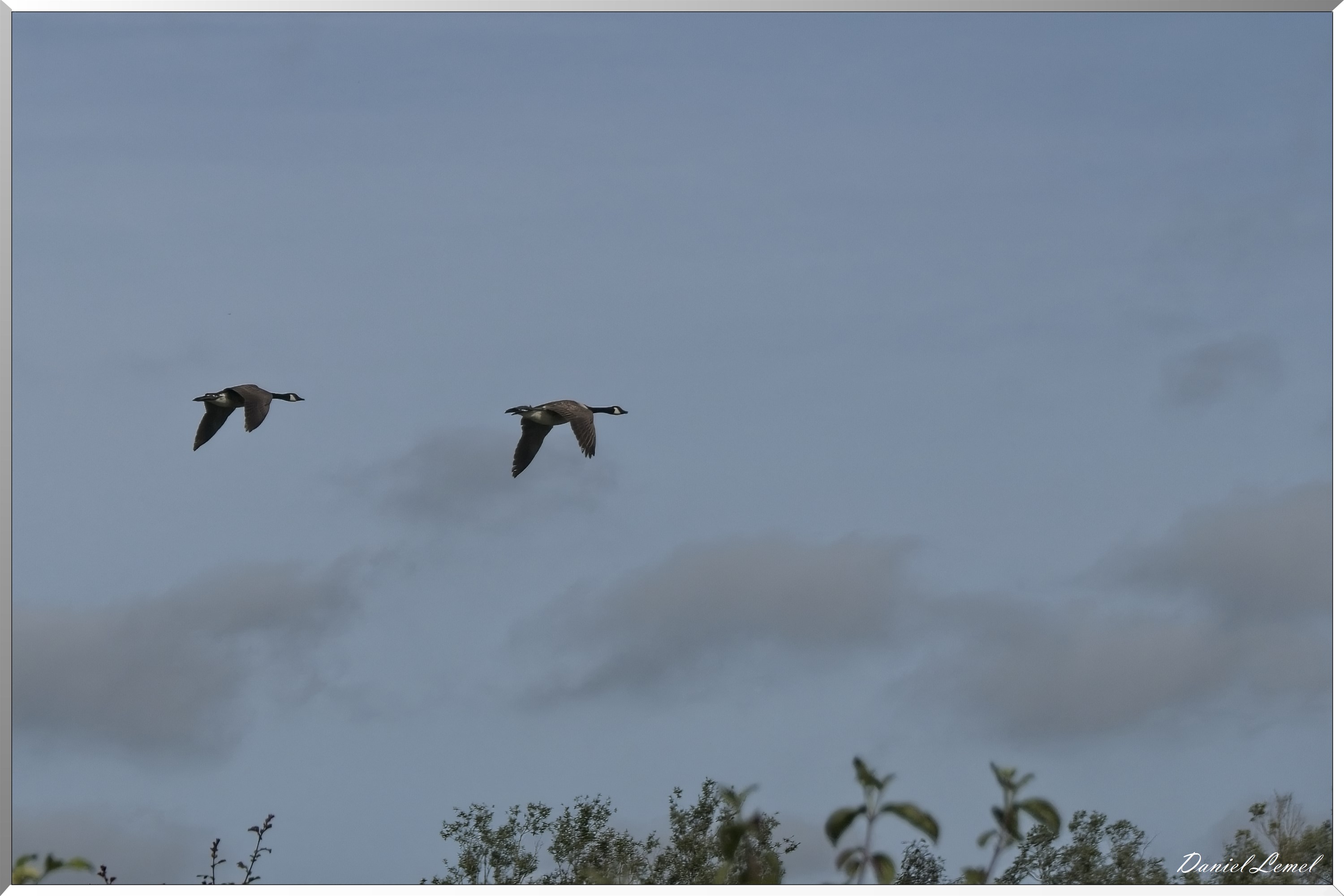 Notre-Dame-de-l'Isle