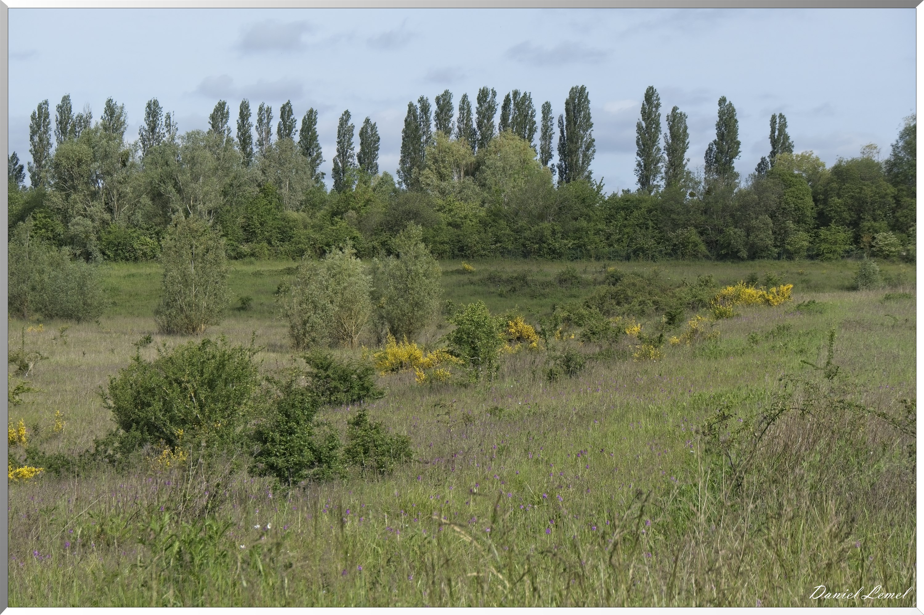 Notre-Dame-de-l'Isle