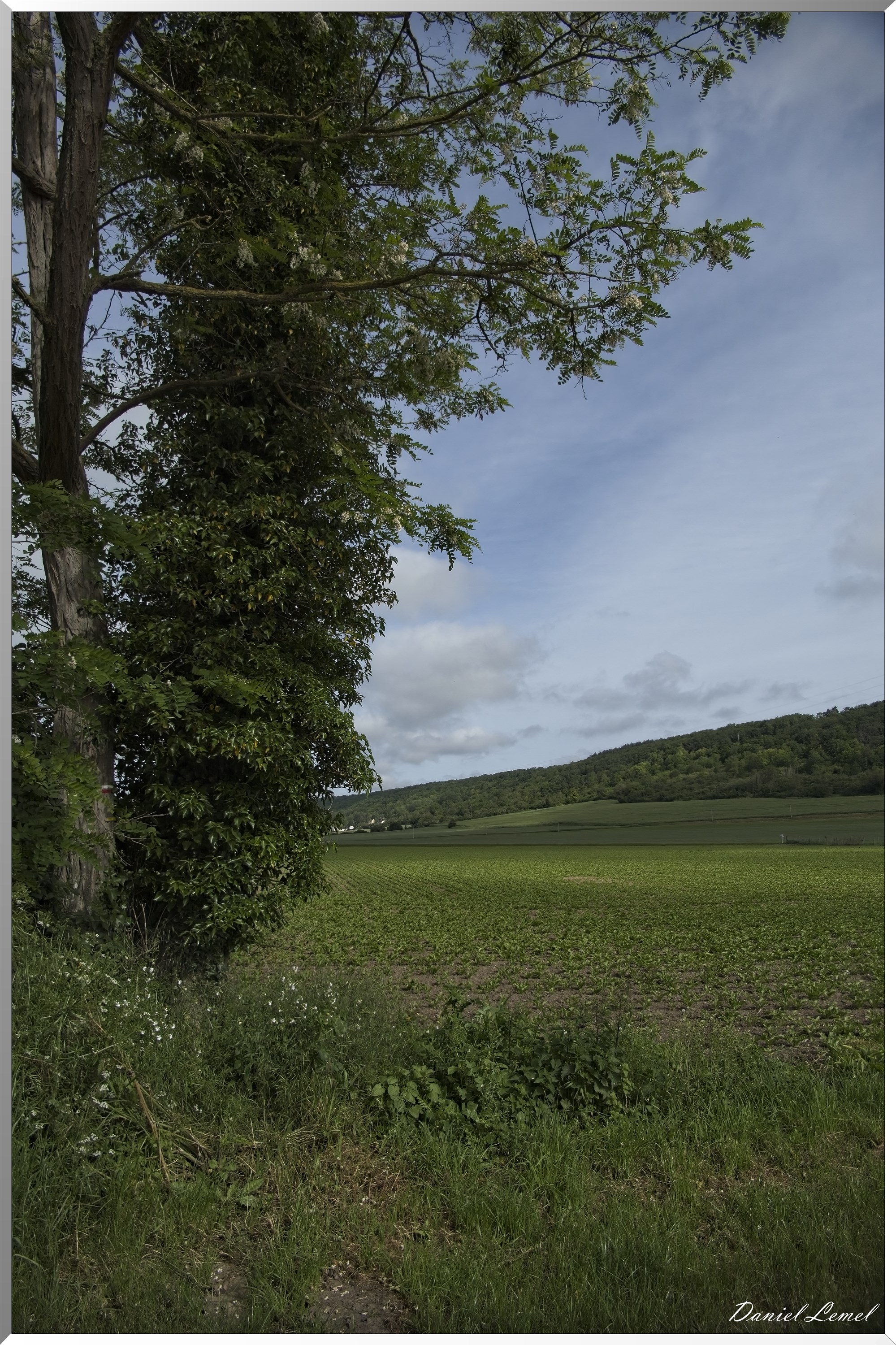 Notre-Dame-de-l'Isle