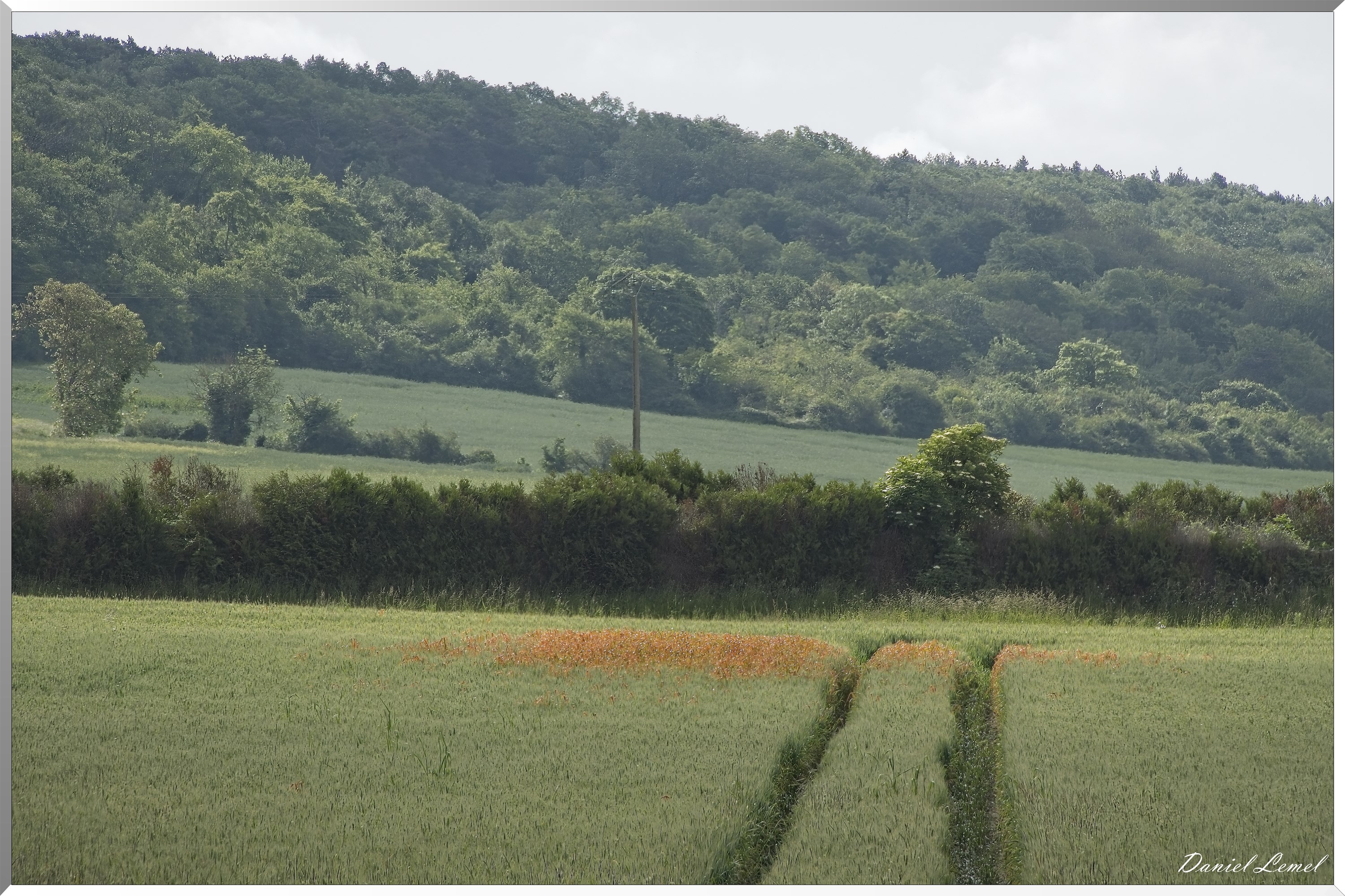 Notre-Dame-de-l'Isle