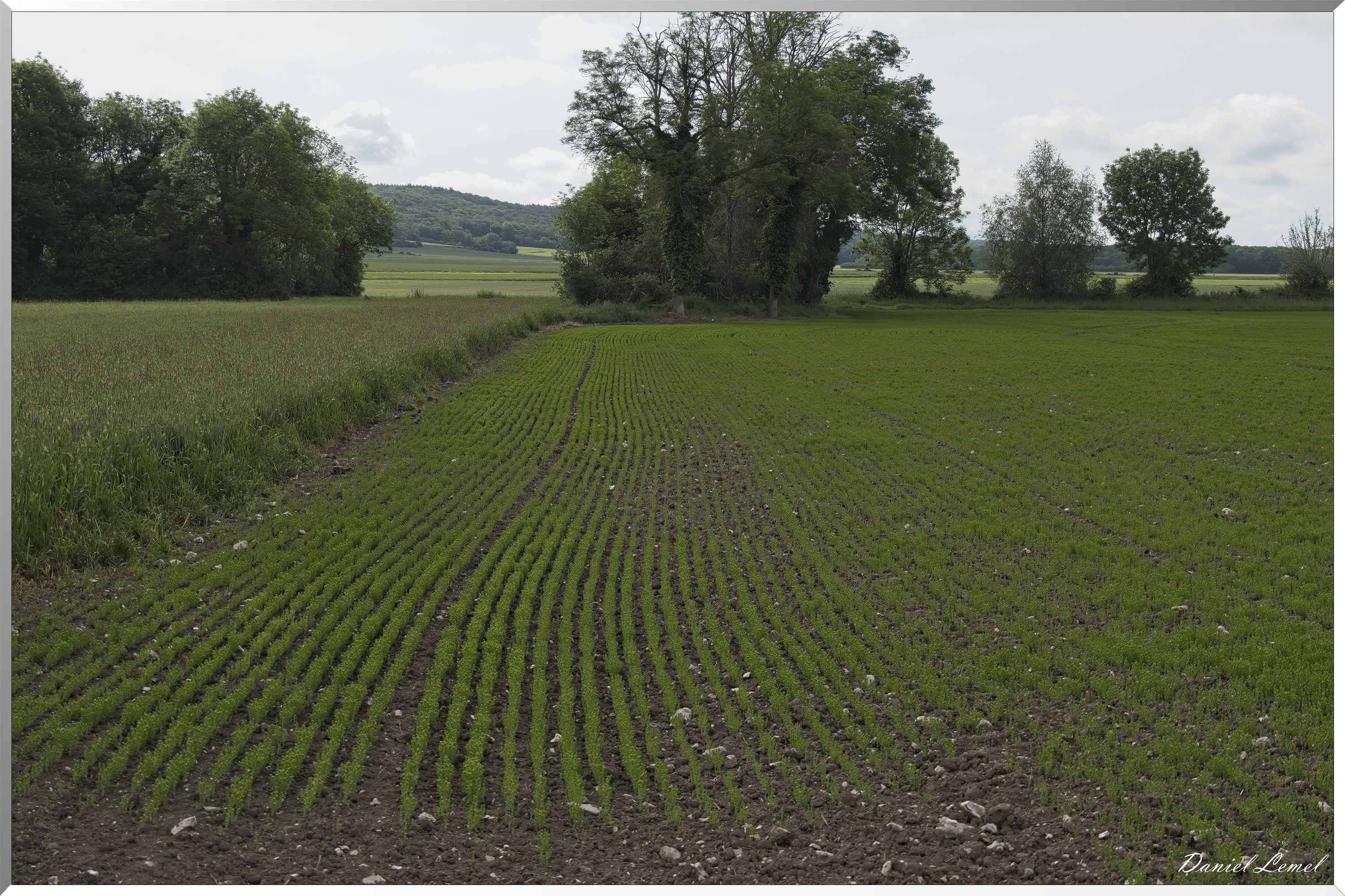 Notre-Dame-de-l'Isle