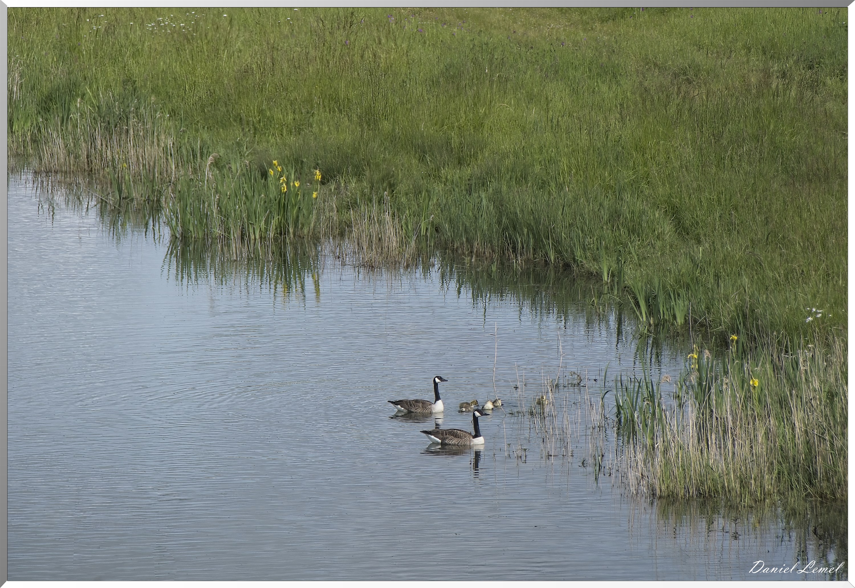 Notre-Dame-de-l'Isle