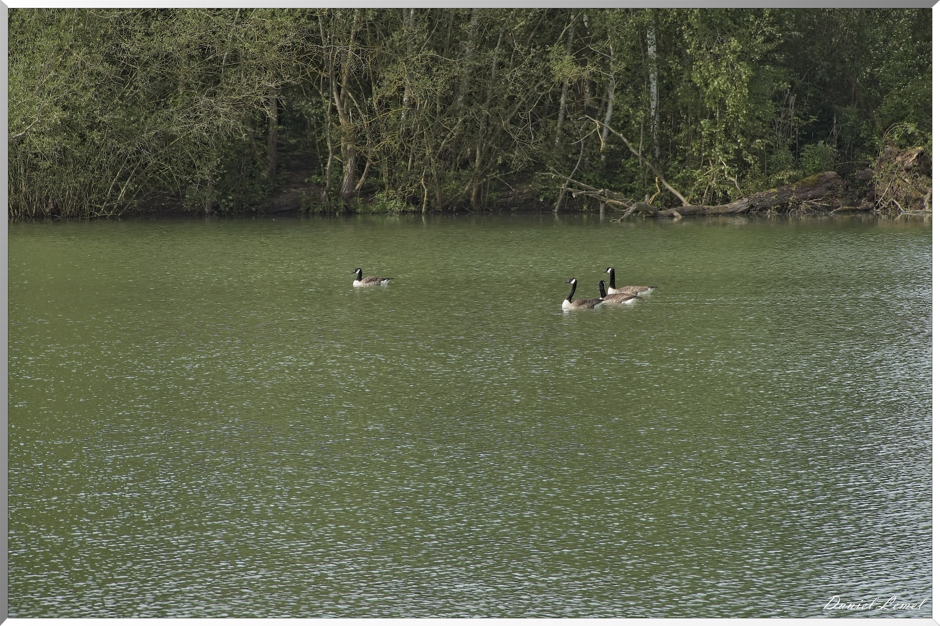 Notre-Dame-de-l'Isle