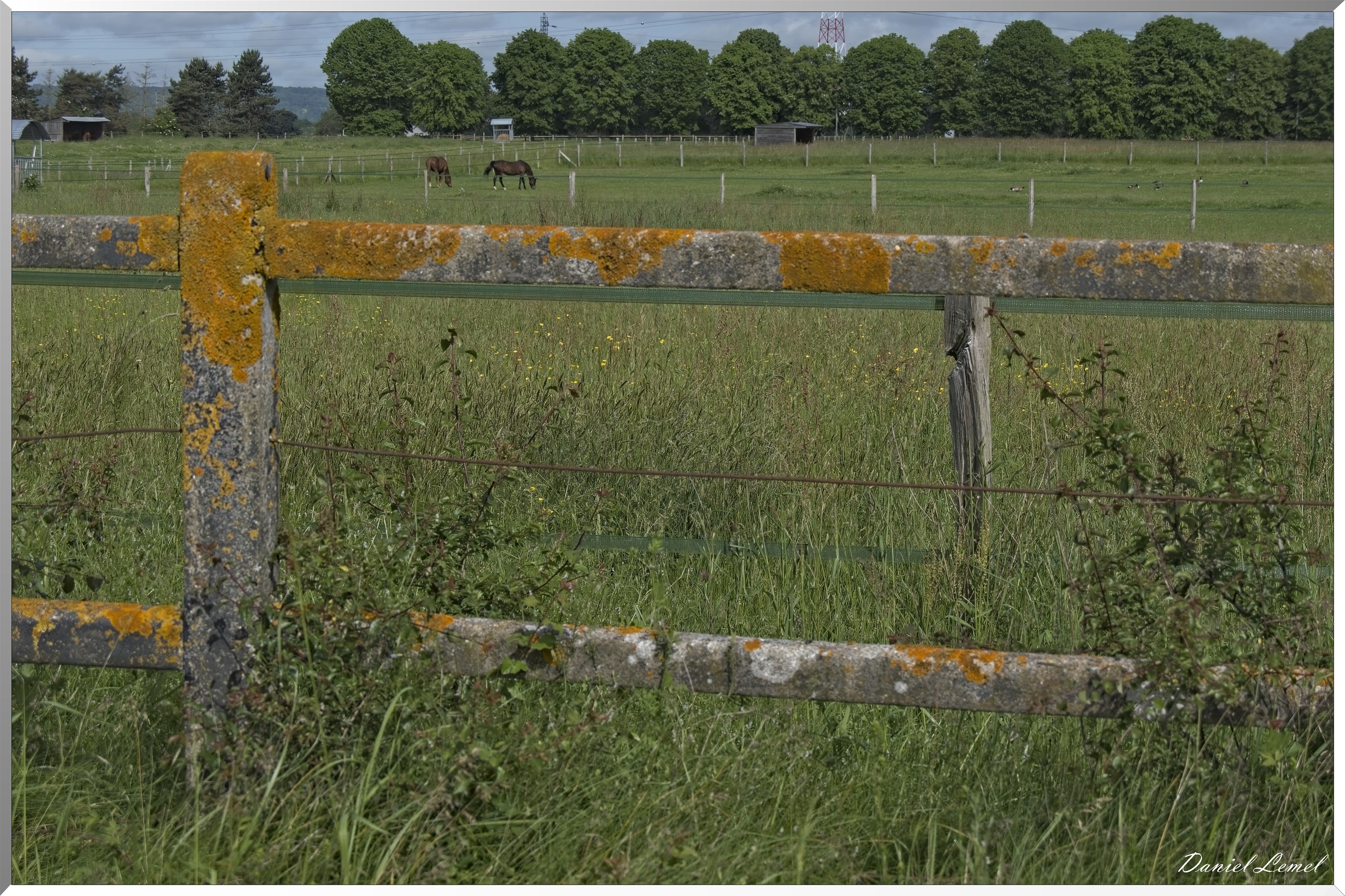 Notre-Dame-de-l'Isle