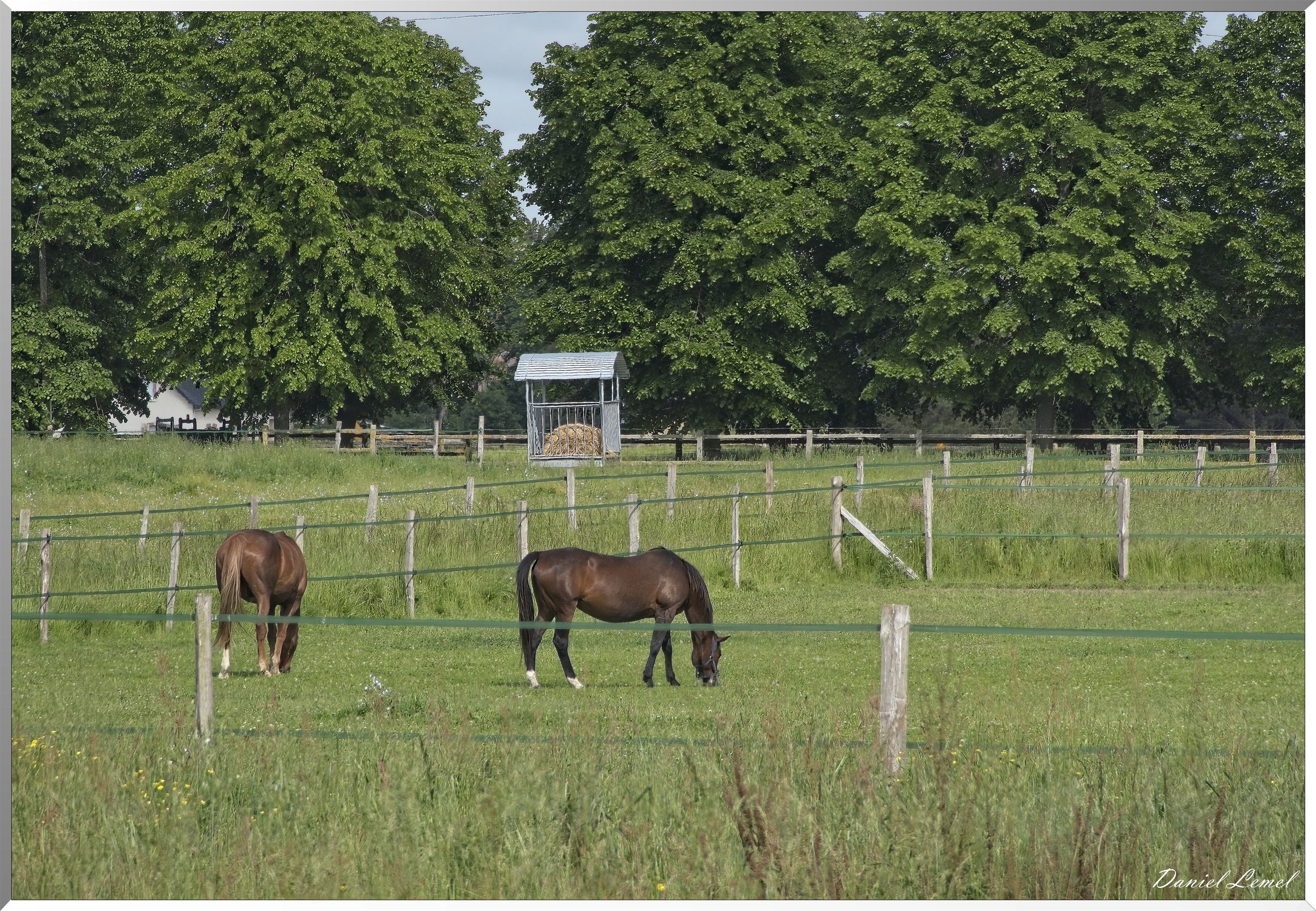 Notre-Dame-de-l'Isle