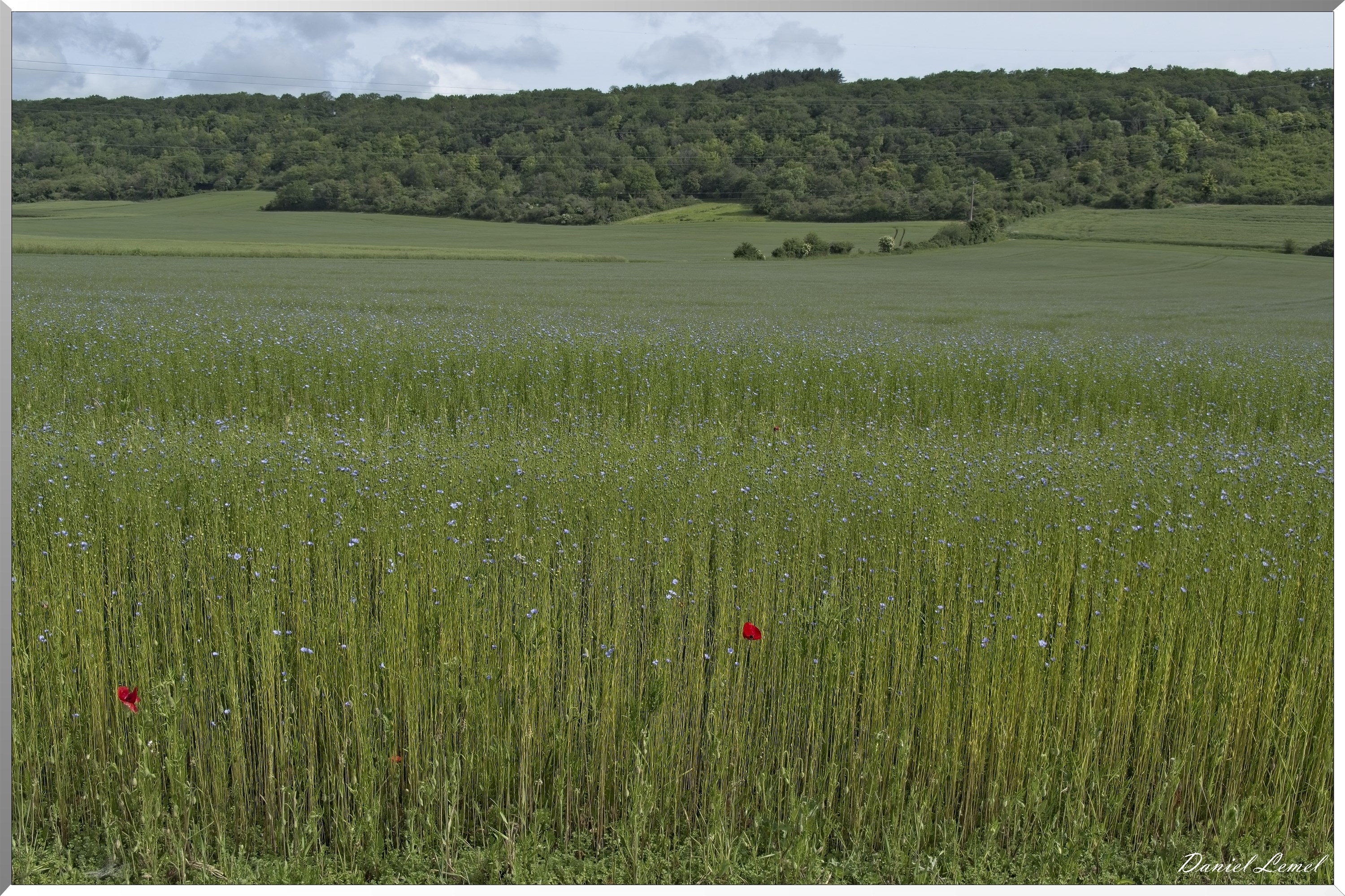 Notre-Dame-de-l'Isle