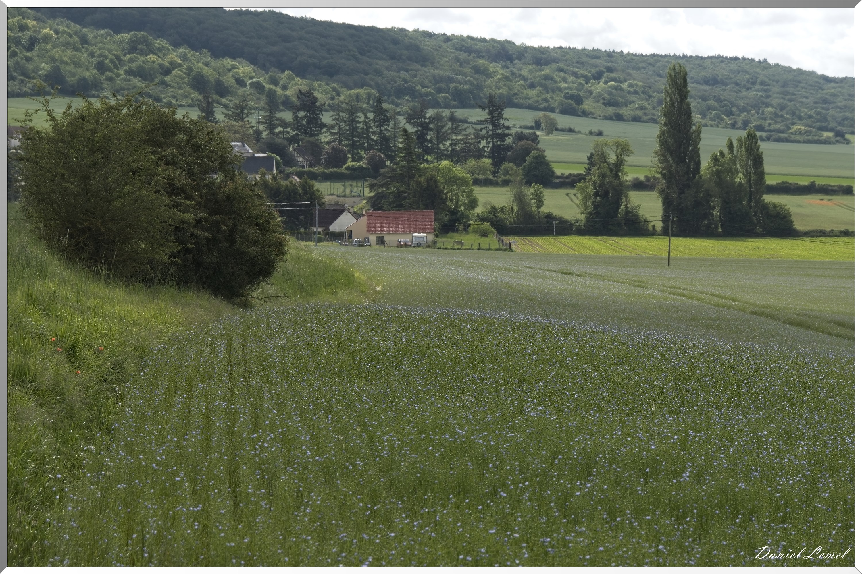 Notre-Dame-de-l'Isle