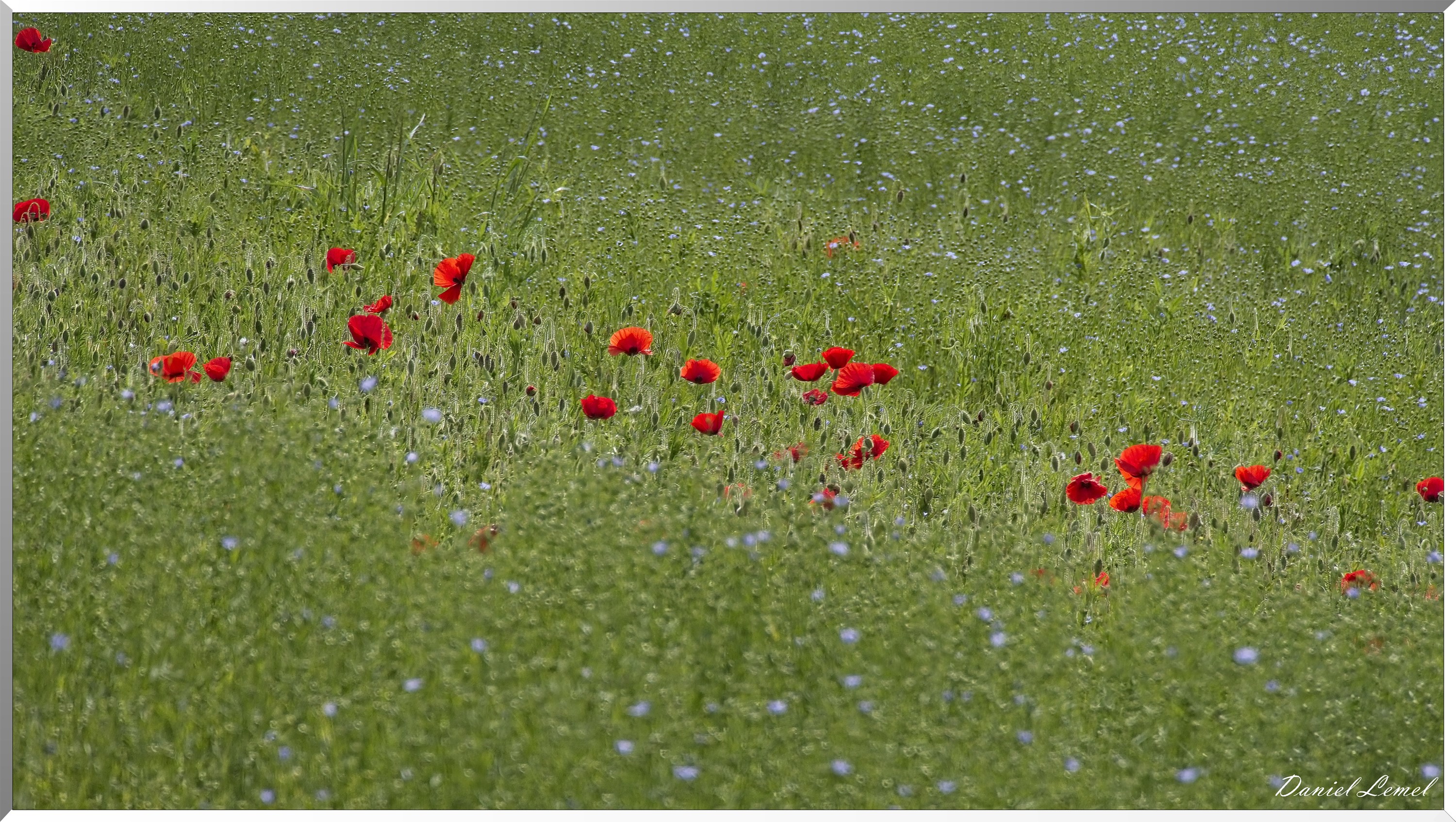 Notre-Dame-de-l'Isle