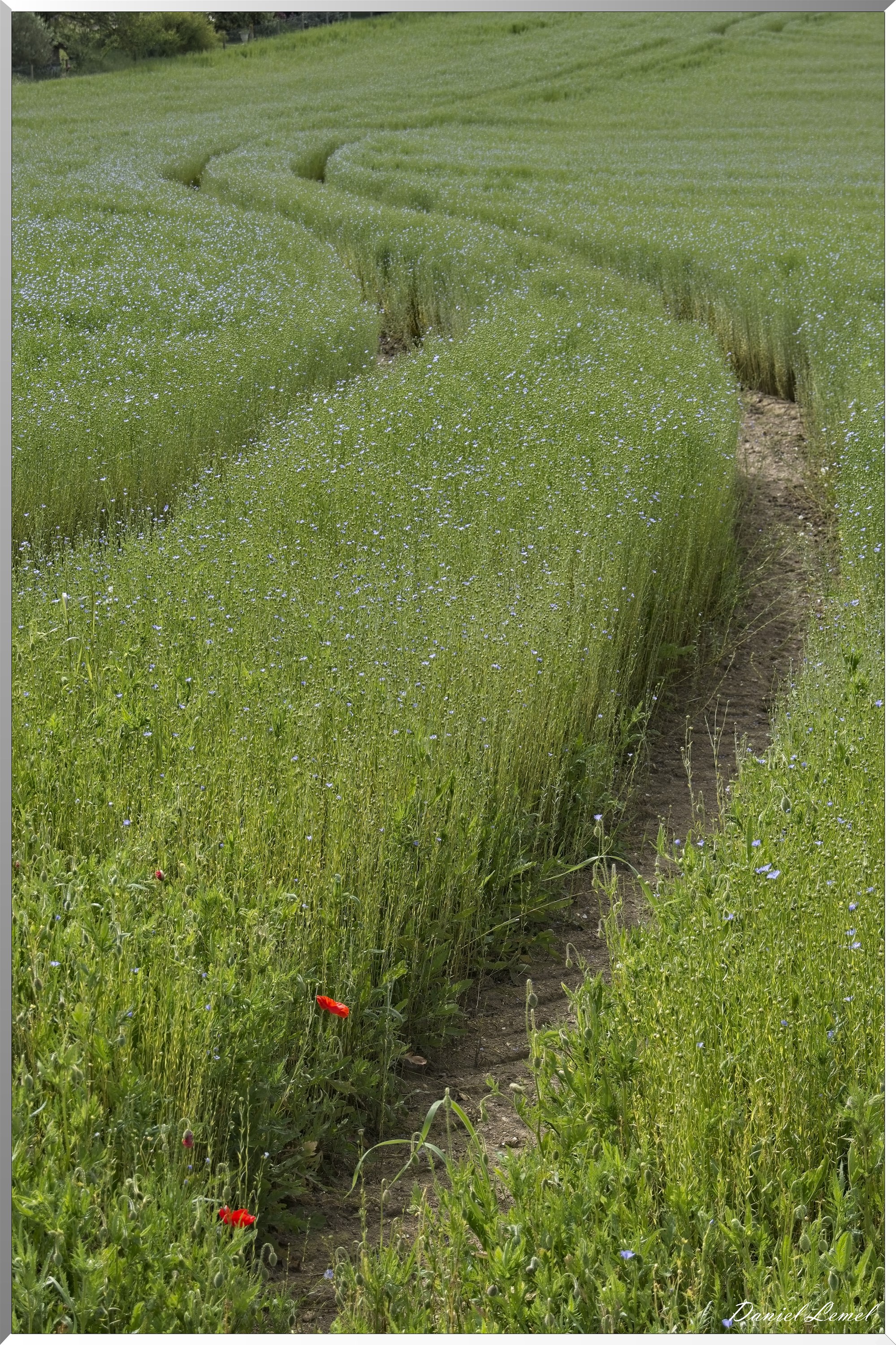 Notre-Dame-de-l'Isle