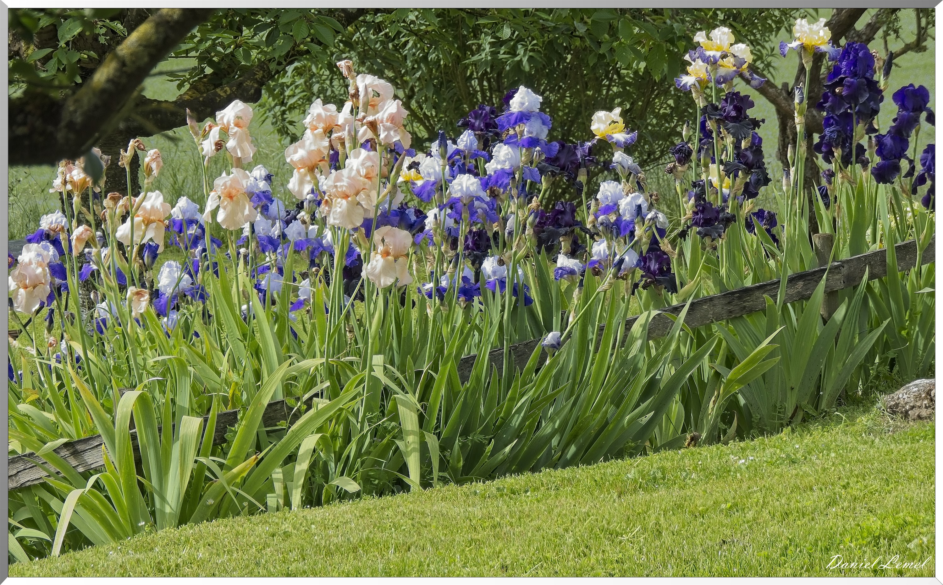 Notre-Dame-de-l'Isle