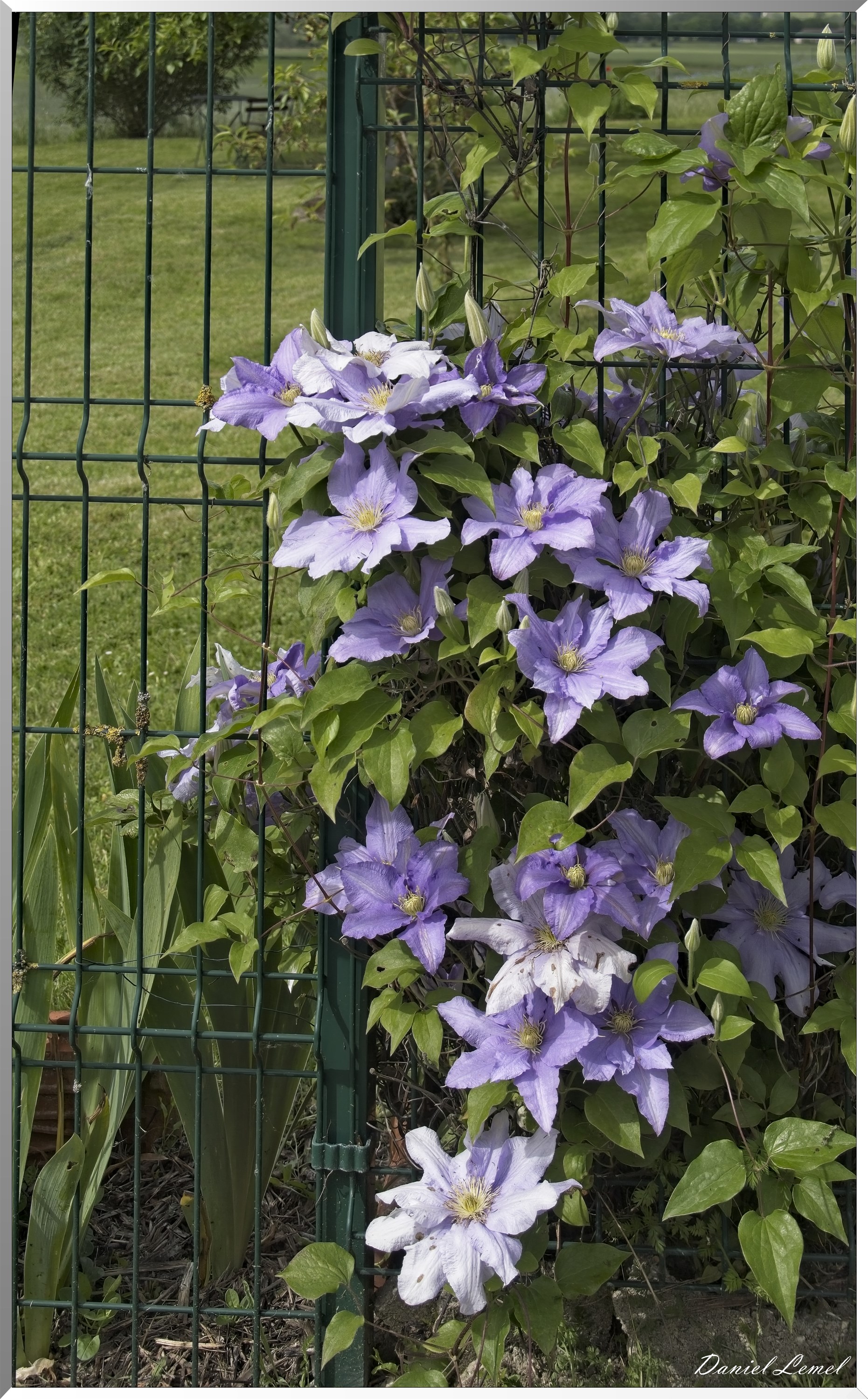 Notre-Dame-de-l'Isle