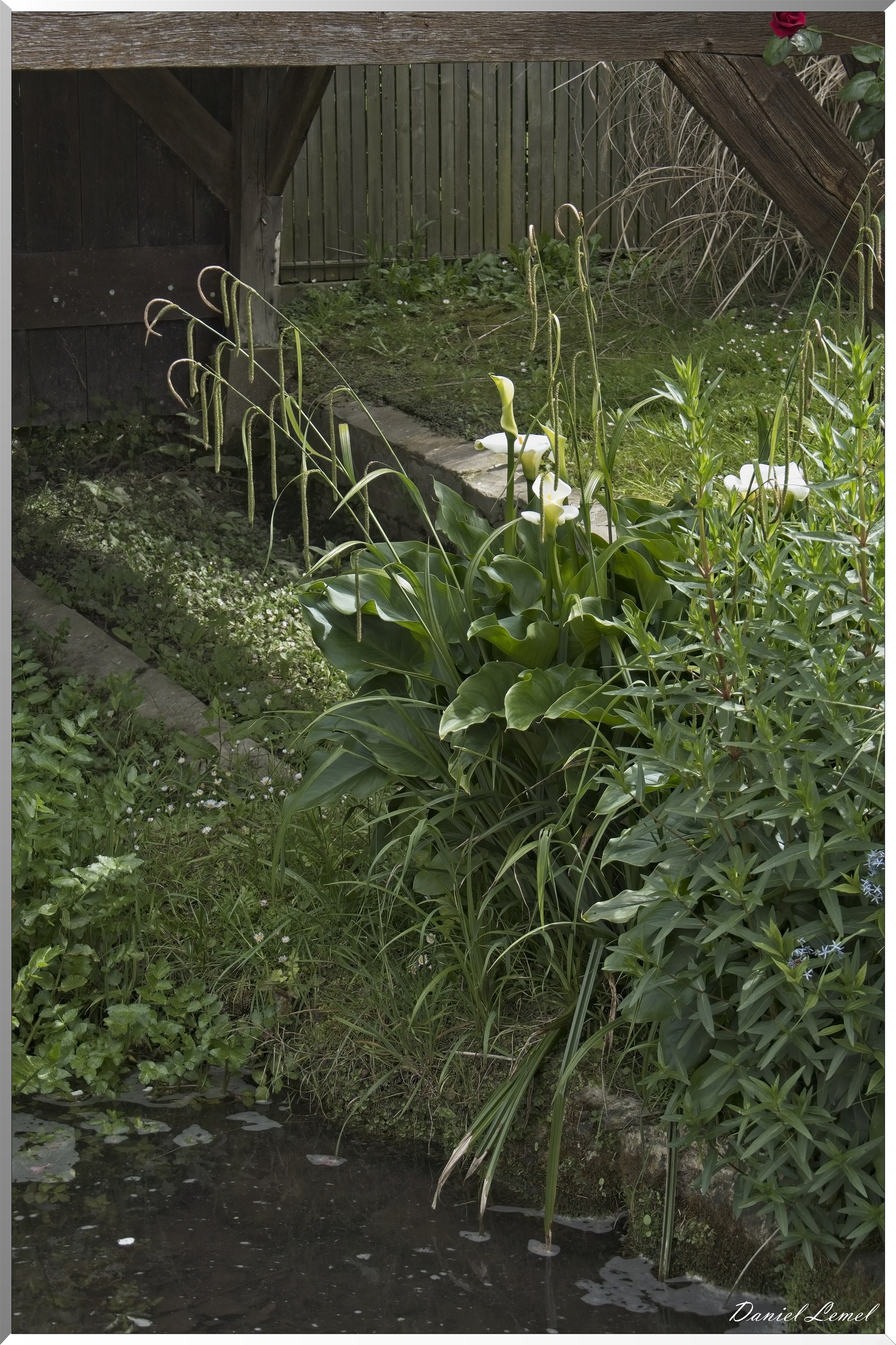 Notre-Dame-de-l'Isle