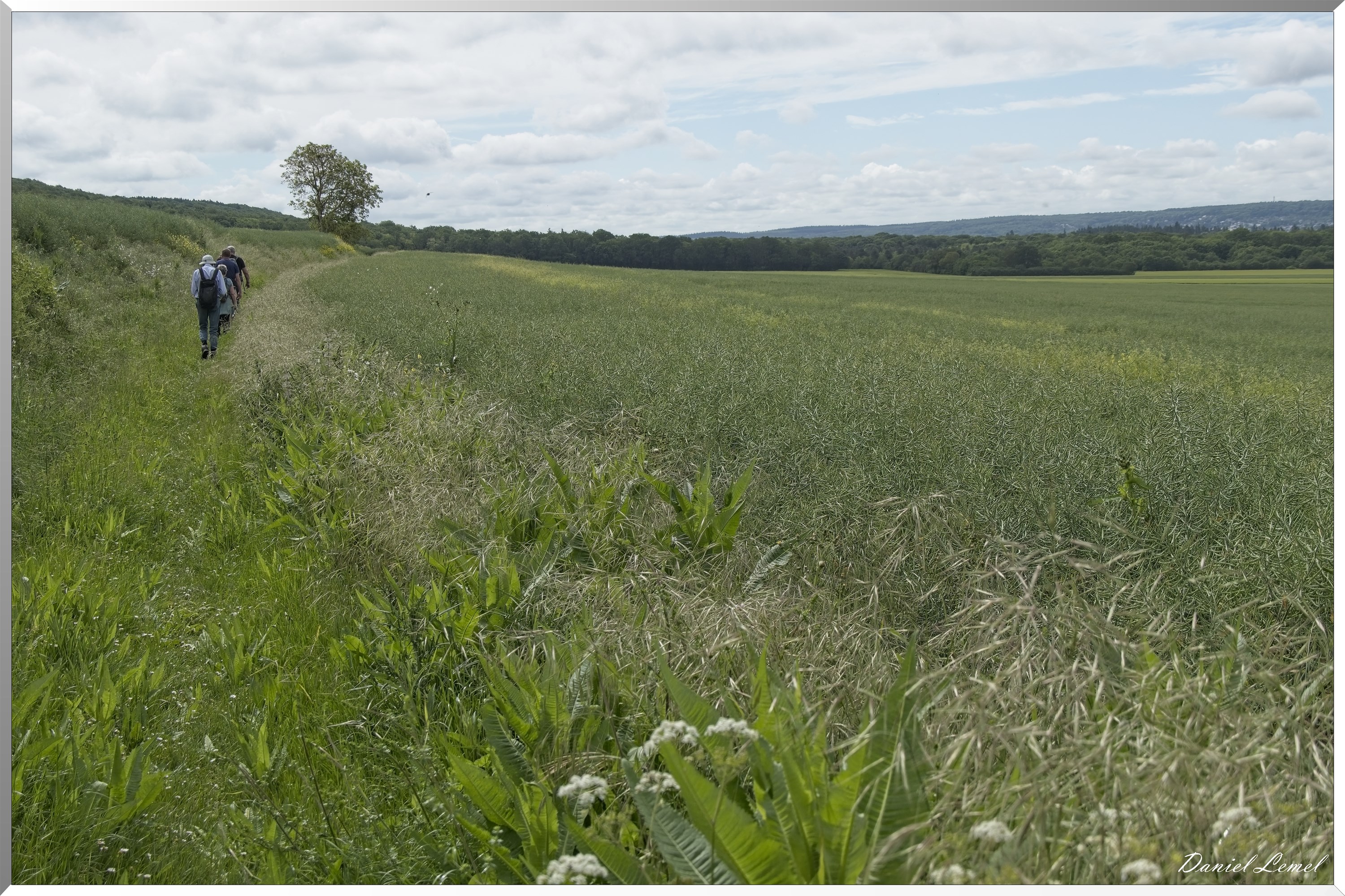 Notre-Dame-de-l'Isle