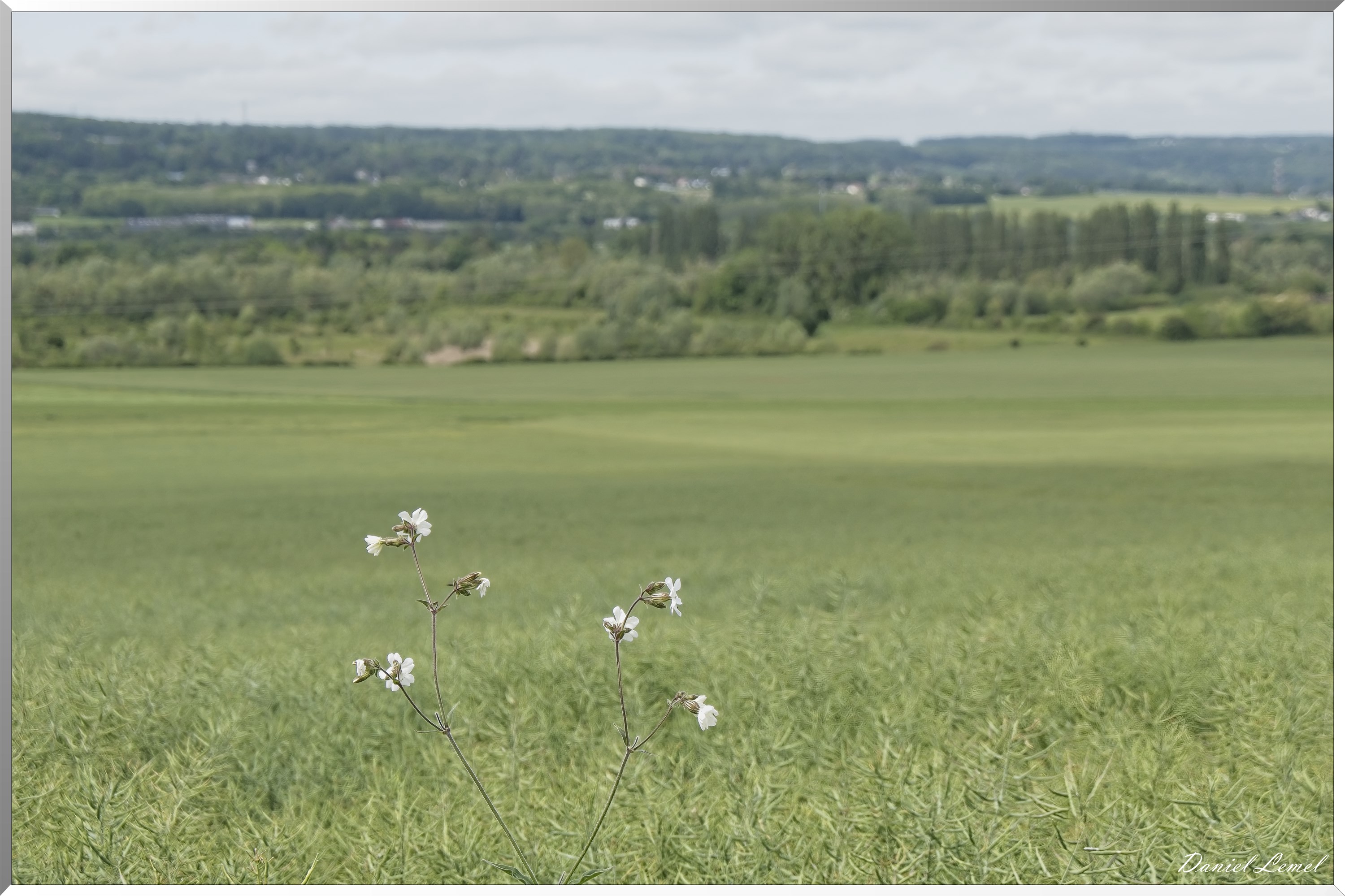 Notre-Dame-de-l'Isle