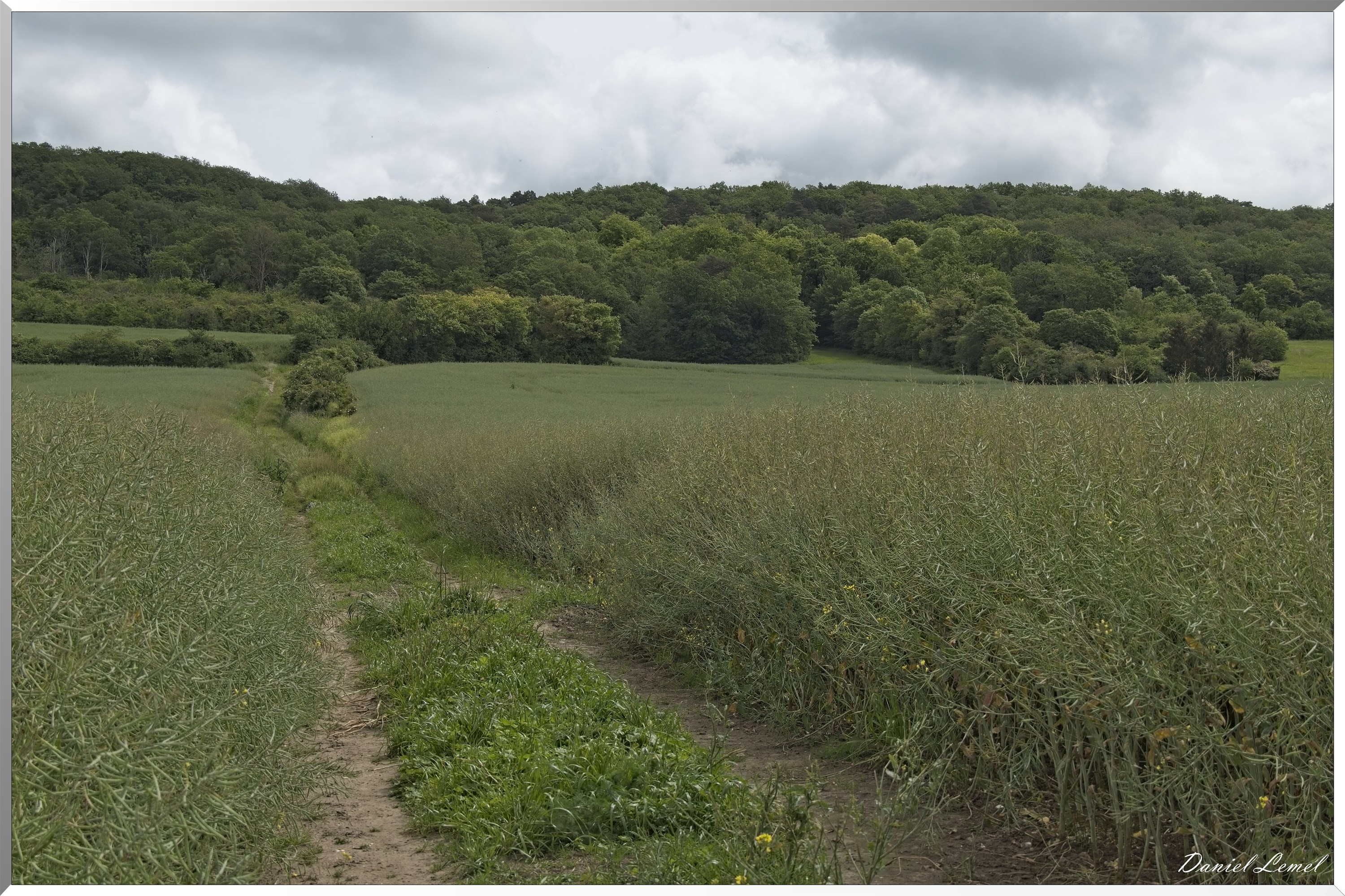 Notre-Dame-de-l'Isle