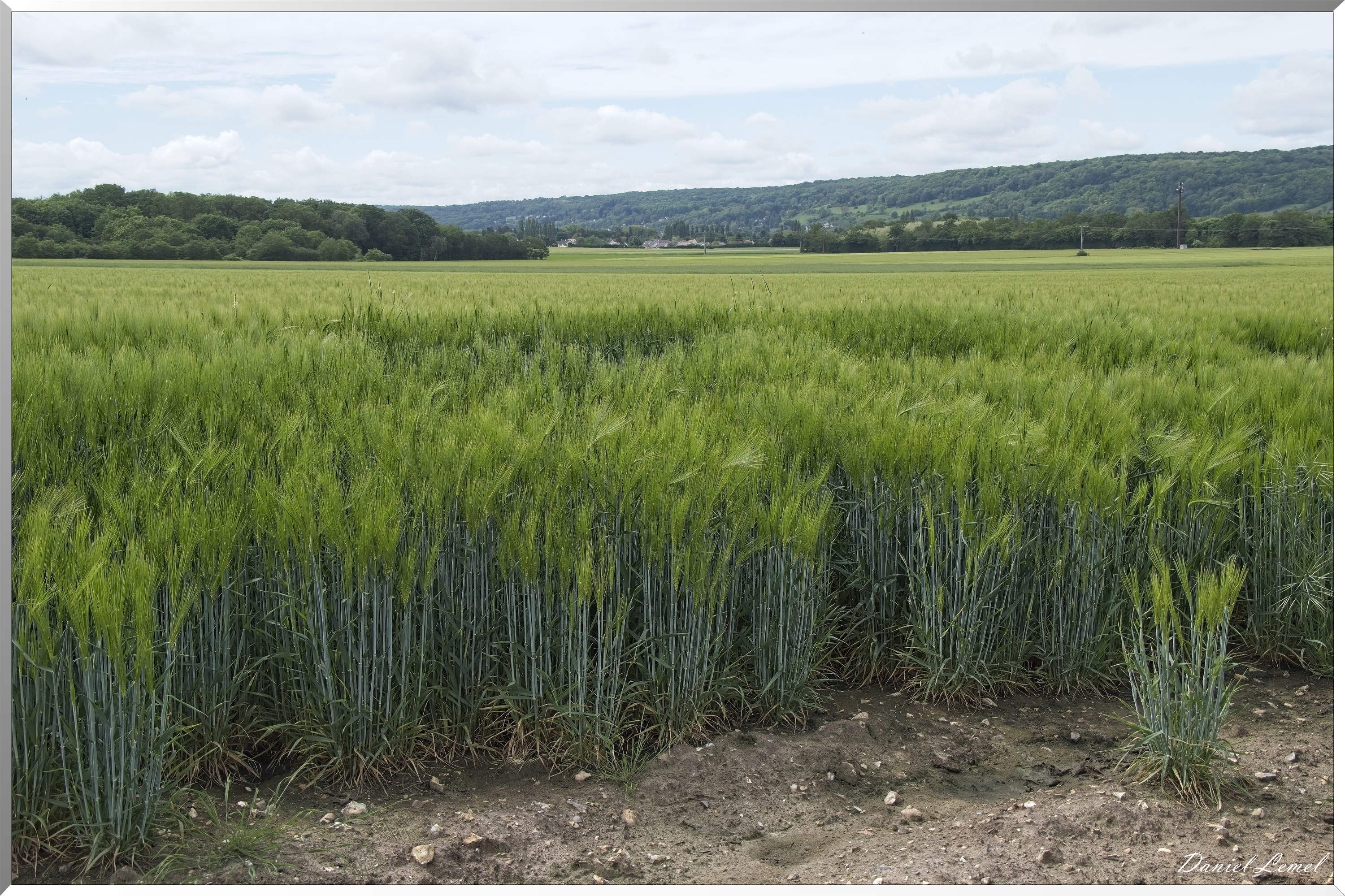 Notre-Dame-de-l'Isle