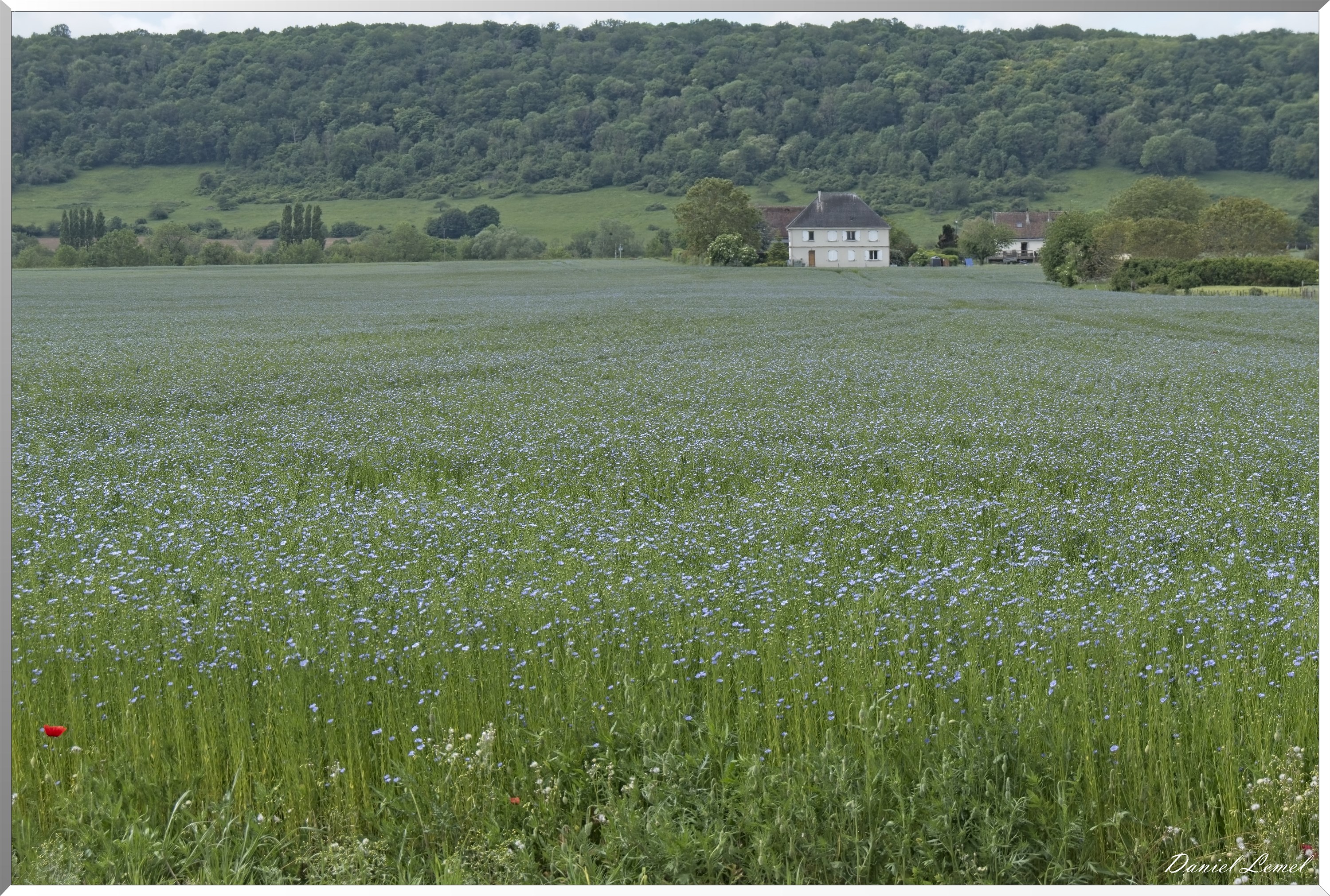 Notre-Dame-de-l'Isle
