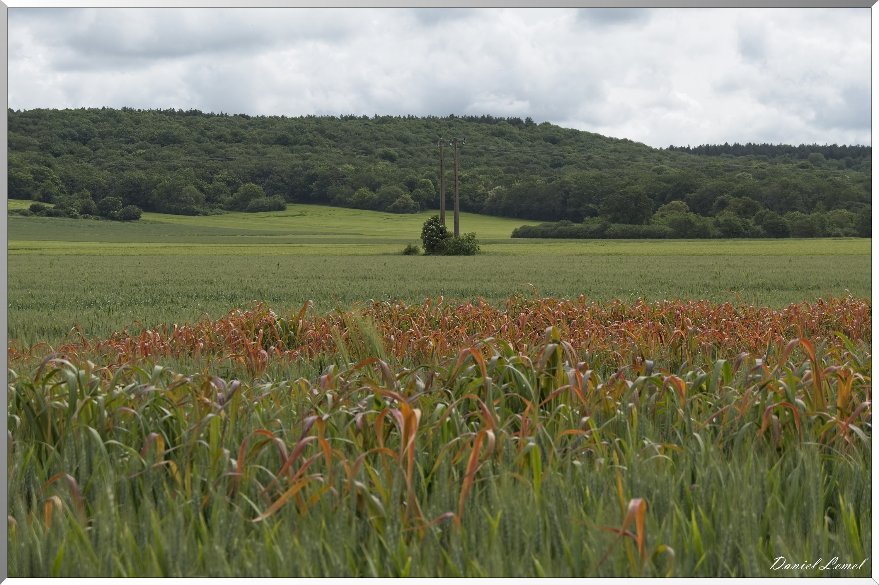 Notre-Dame-de-l'Isle