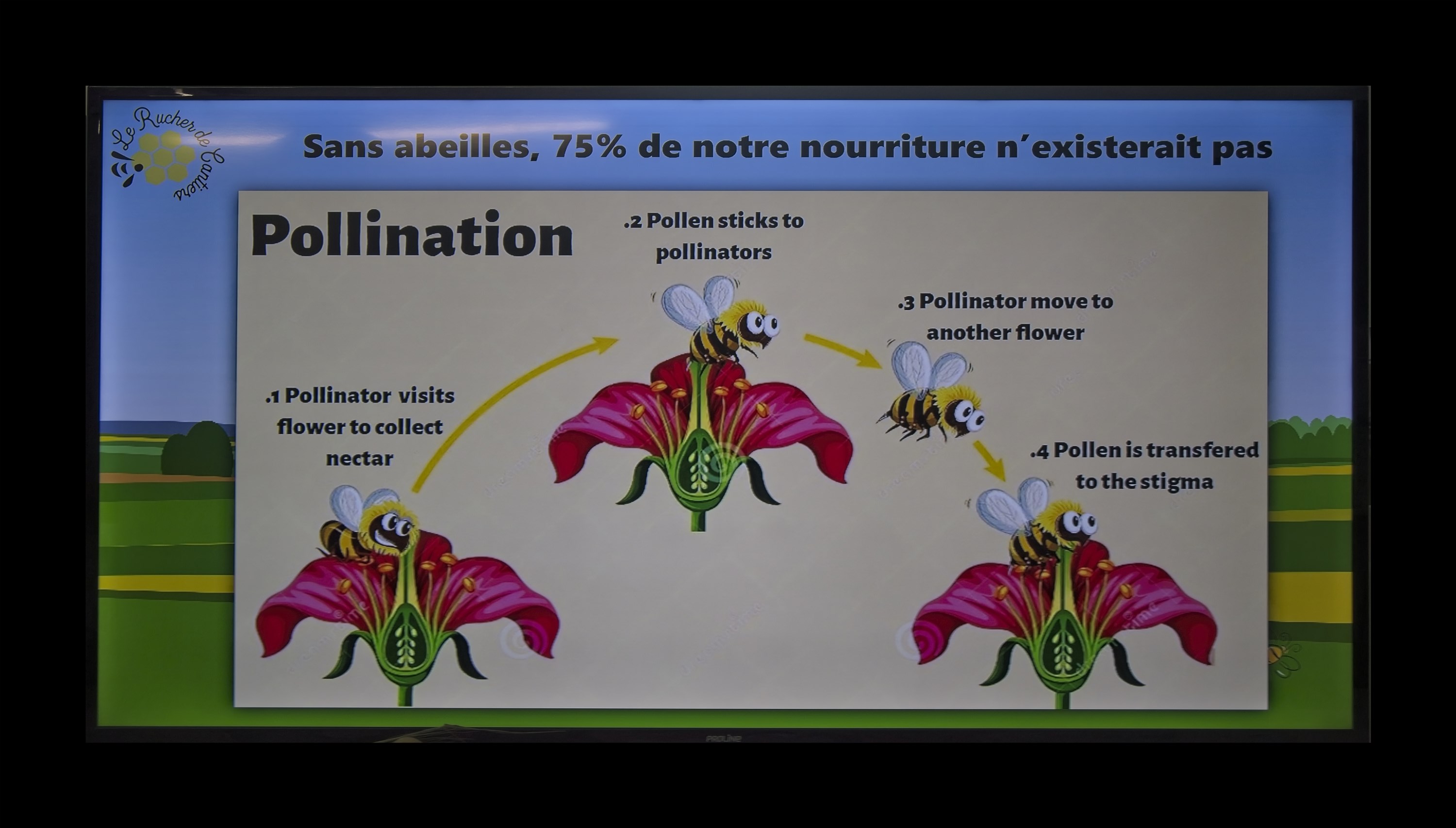 Visite du Rucher de Cantiers