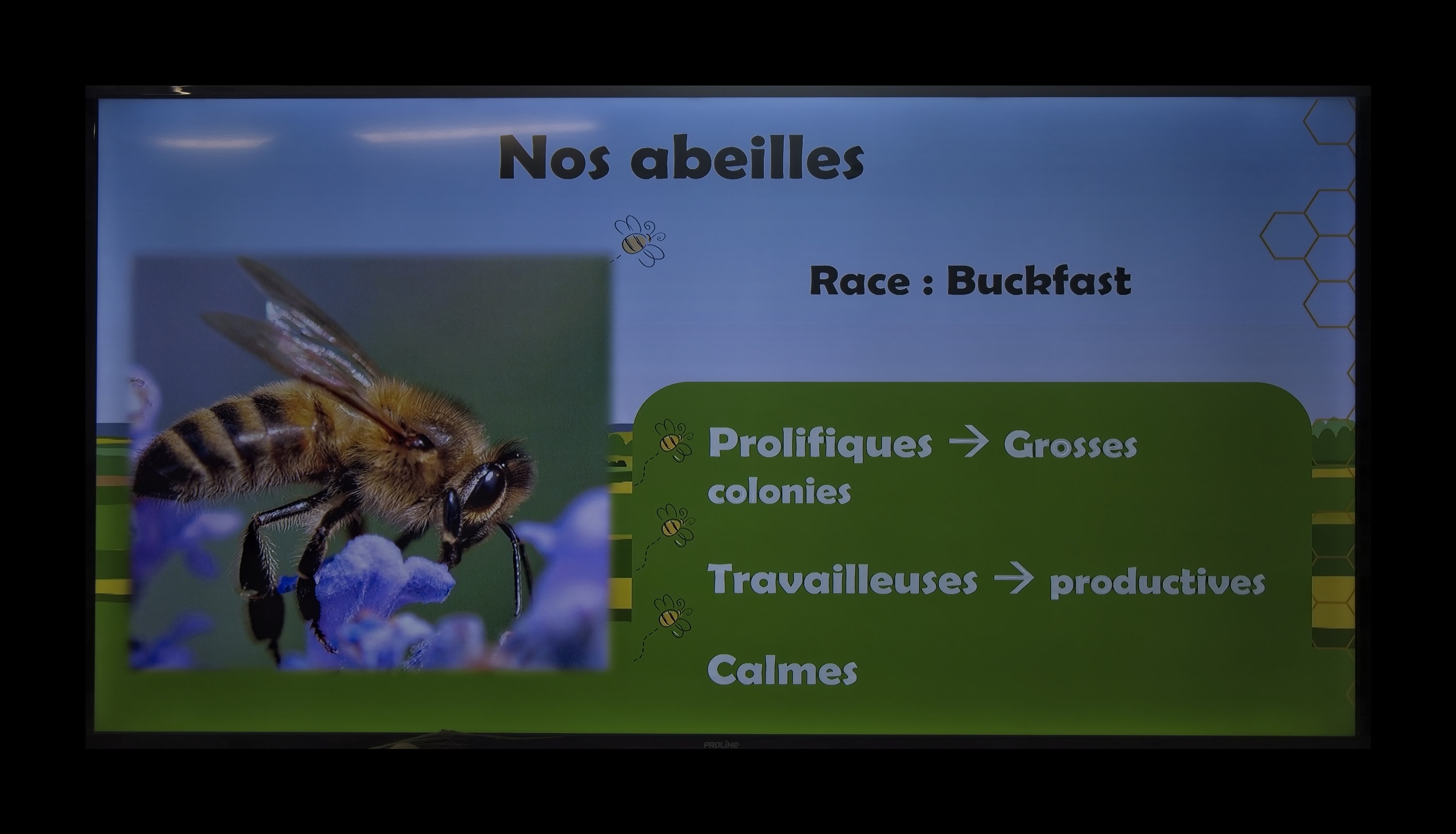 Visite du Rucher de Cantiers