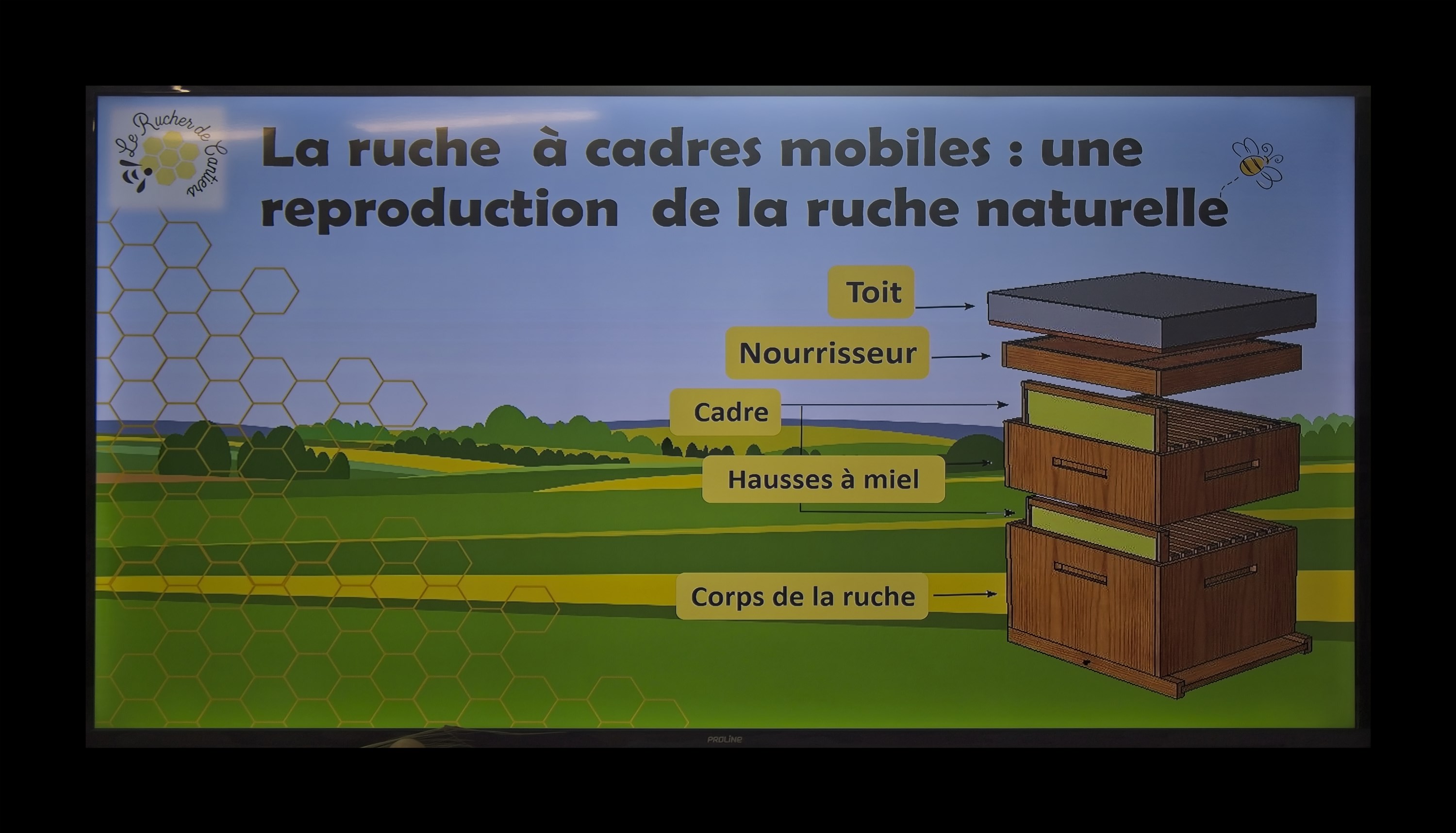 Visite du Rucher de Cantiers