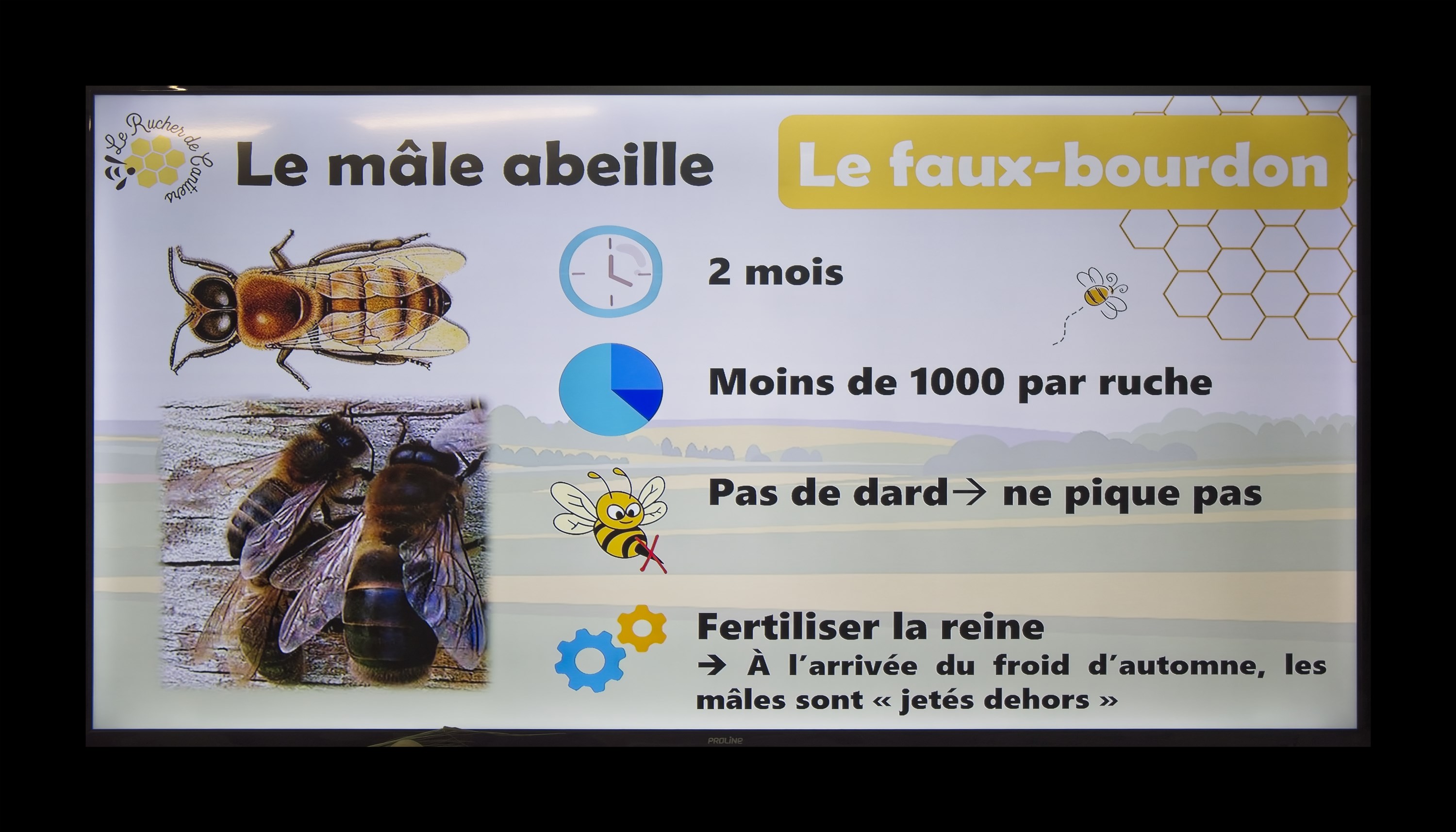 Visite du Rucher de Cantiers