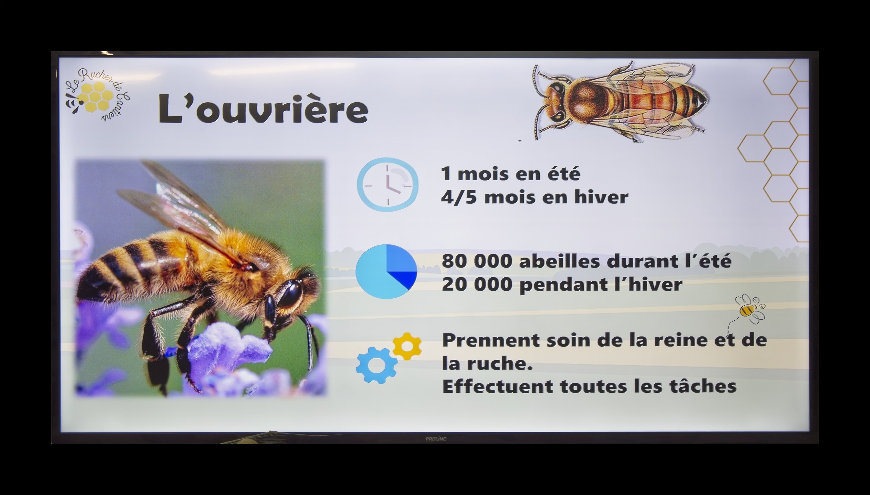 Visite du Rucher de Cantiers