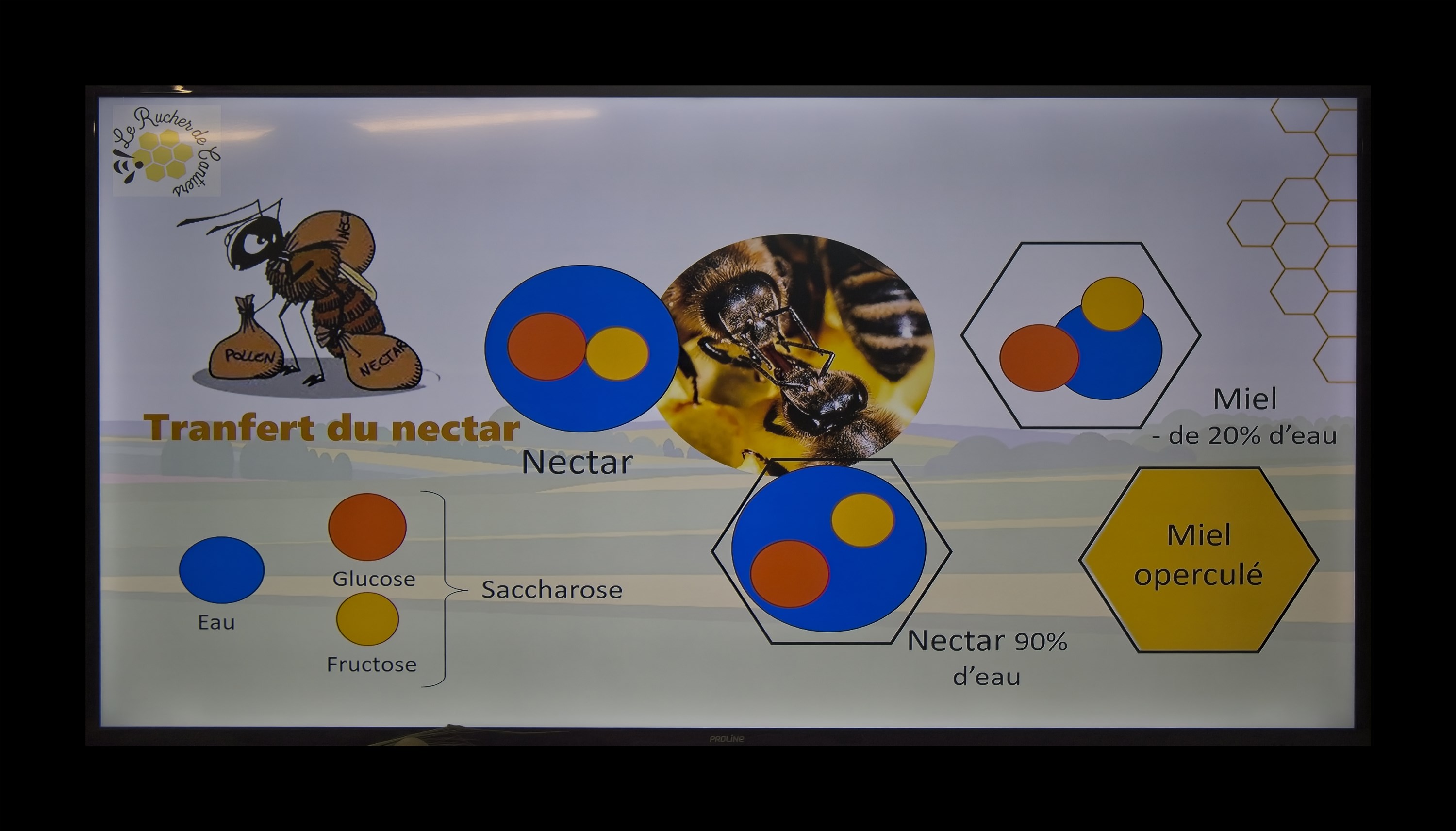Visite du Rucher de Cantiers