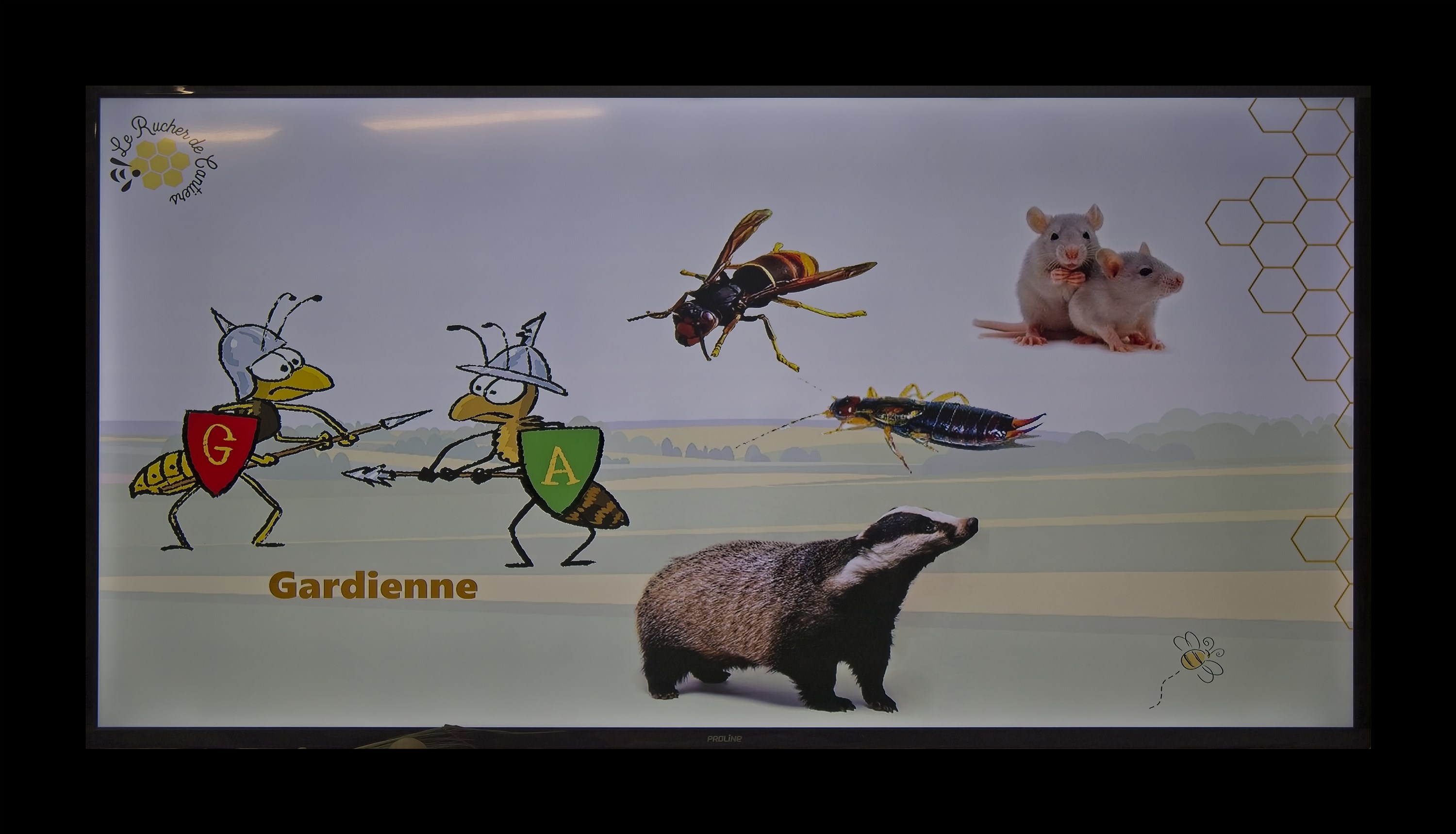 Visite du Rucher de Cantiers