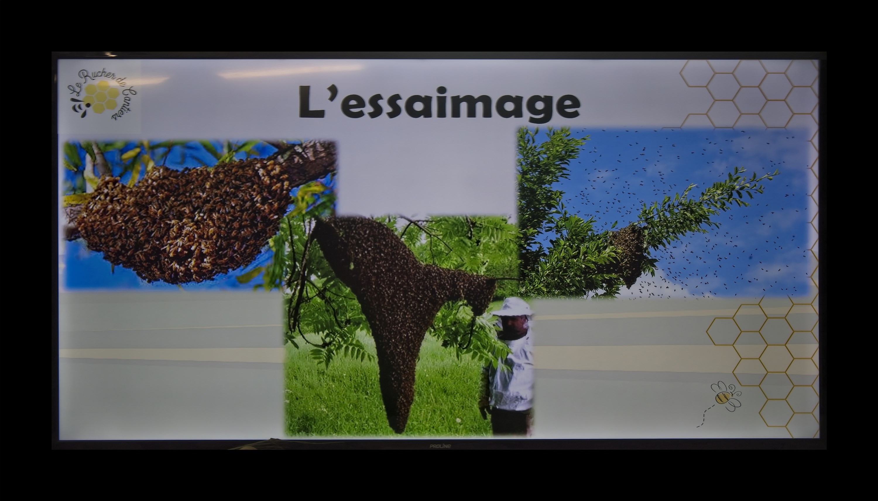 Visite du Rucher de Cantiers