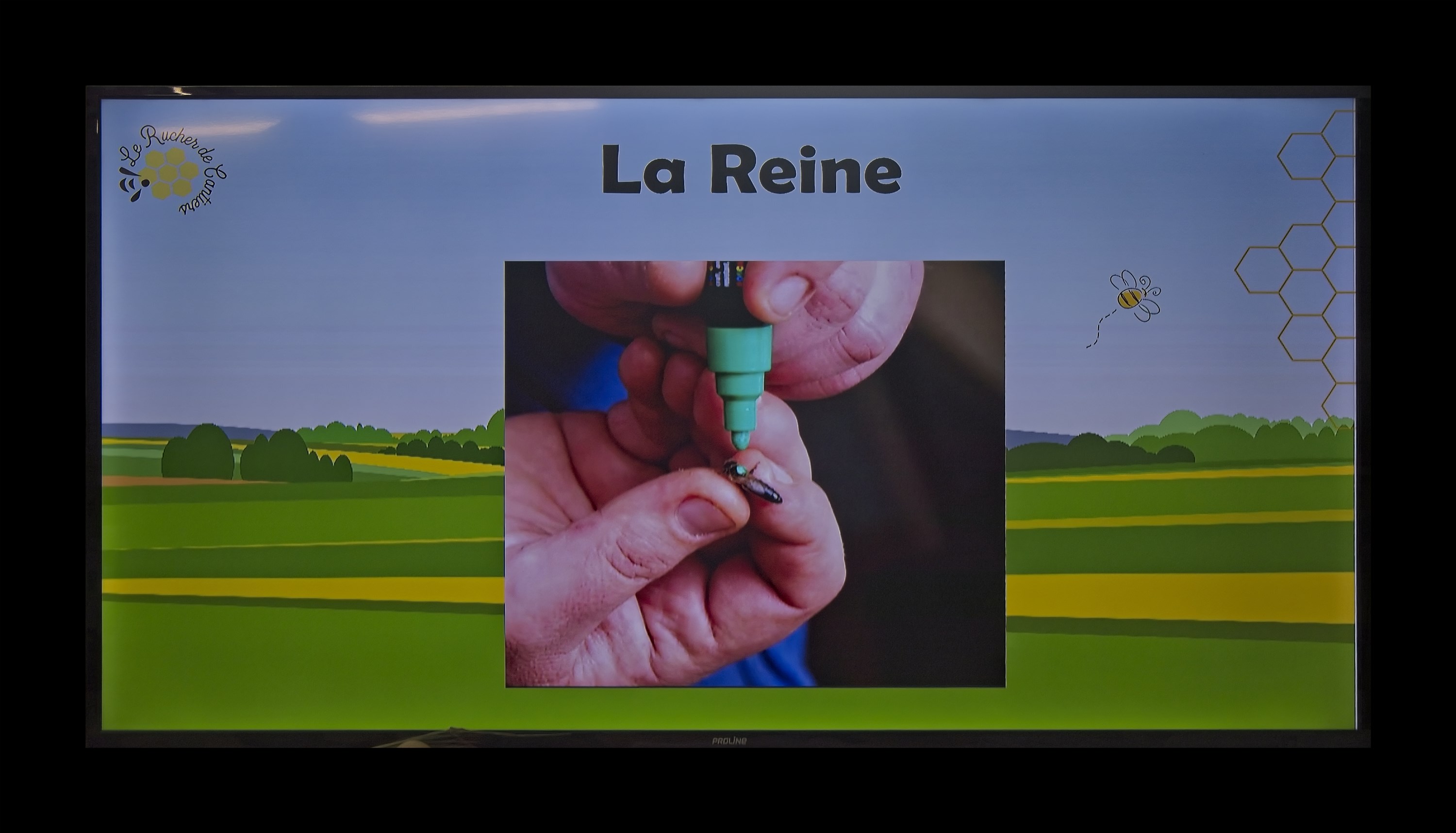 Visite du Rucher de Cantiers