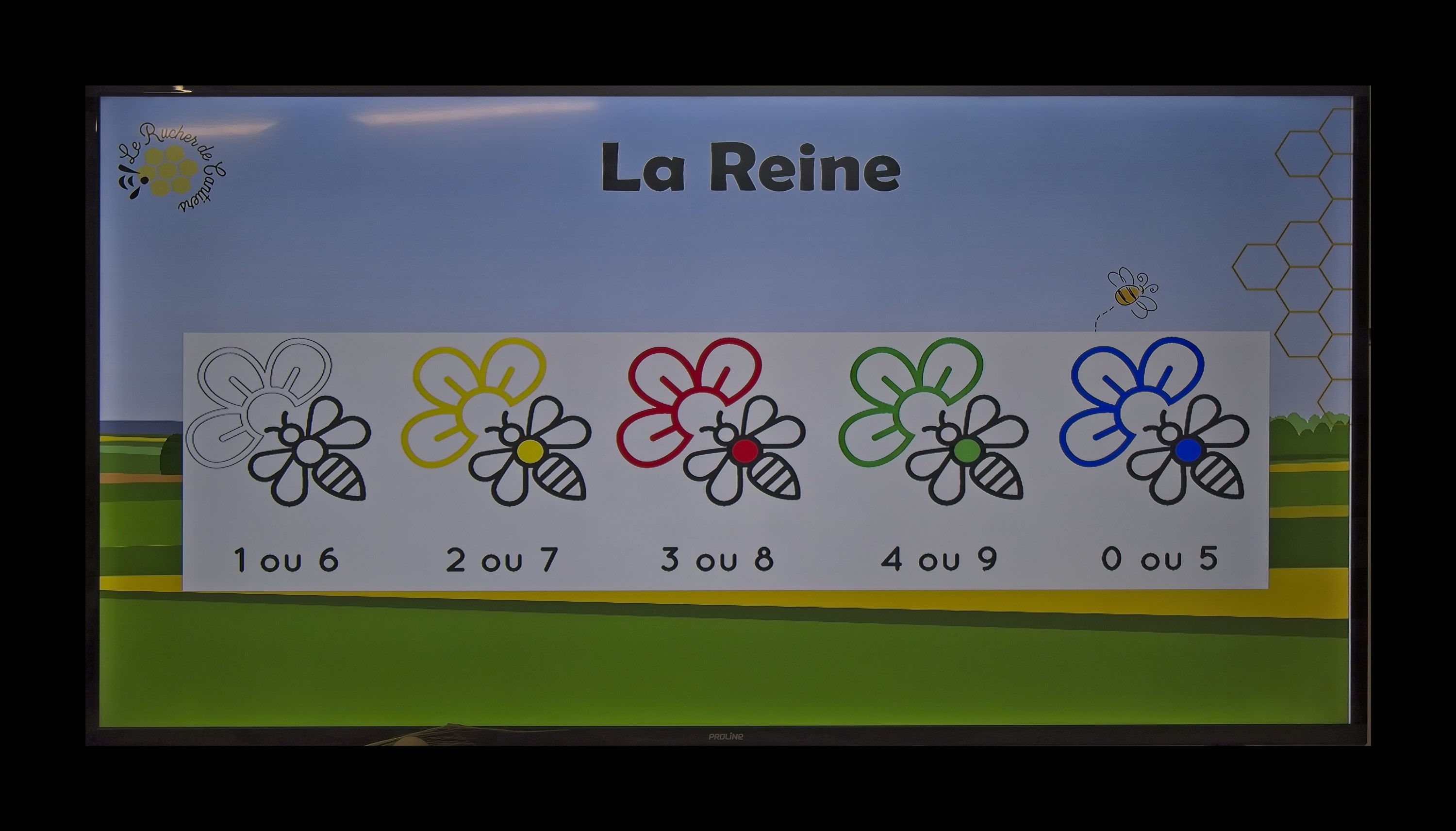 Visite du Rucher de Cantiers