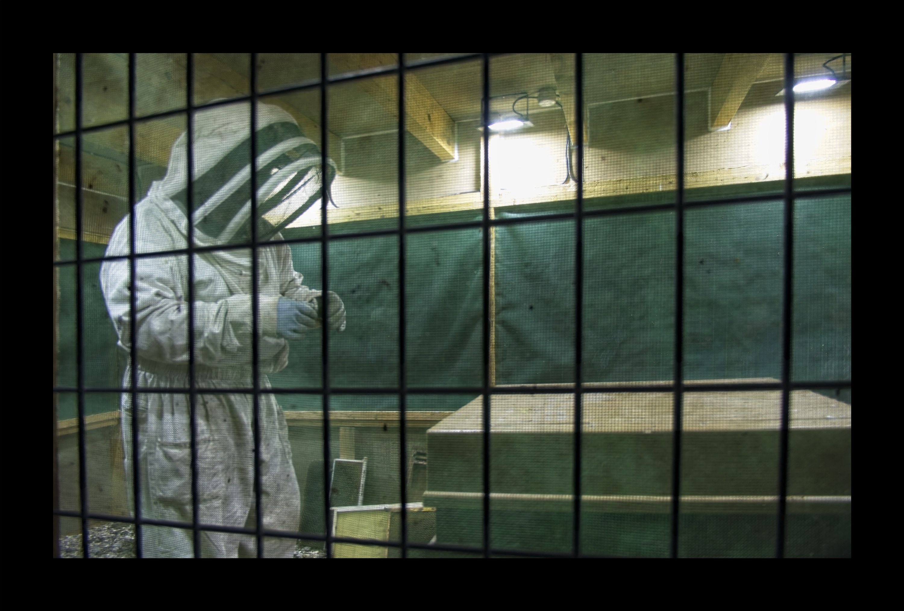 Visite du Rucher de Cantiers