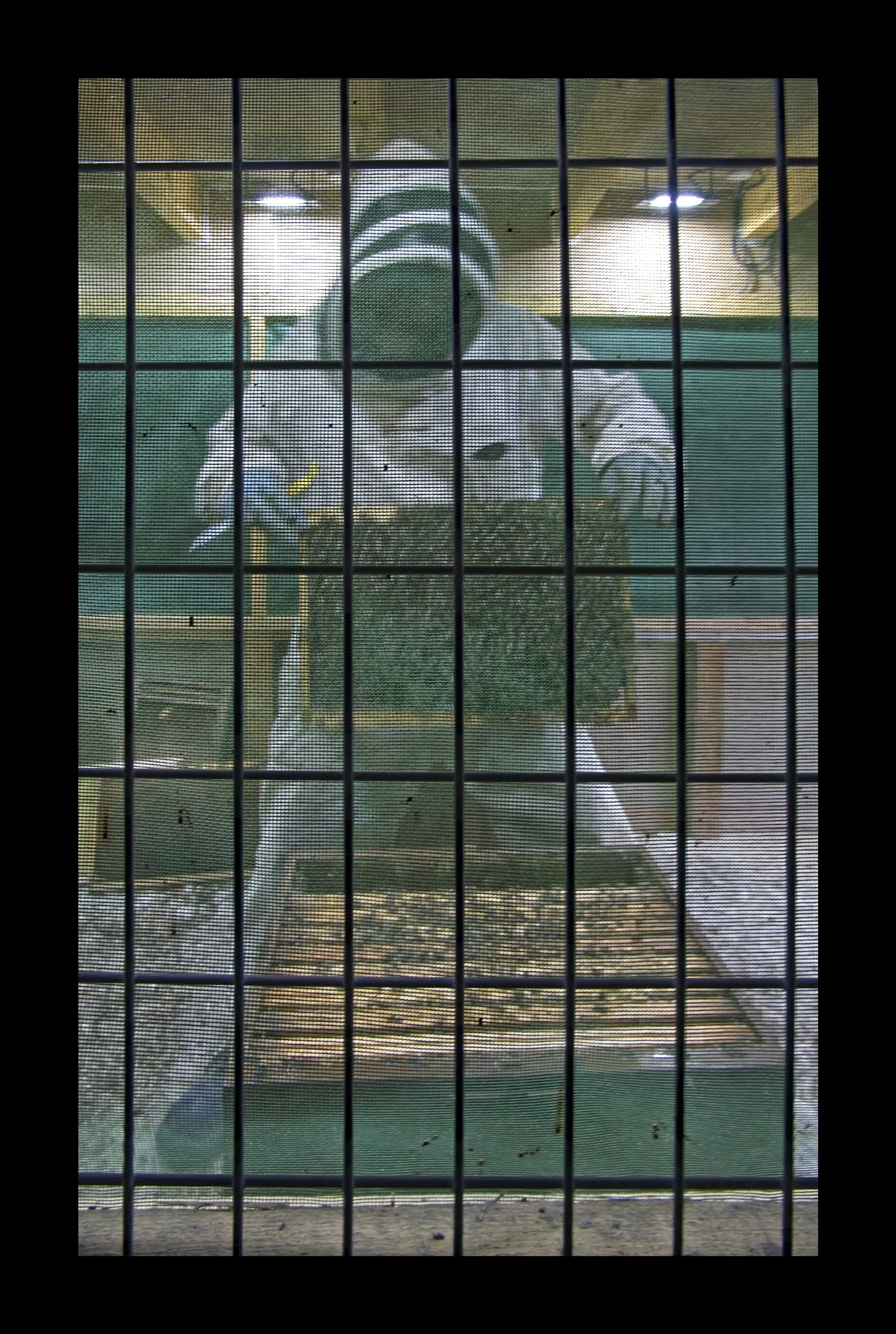 Visite du Rucher de Cantiers