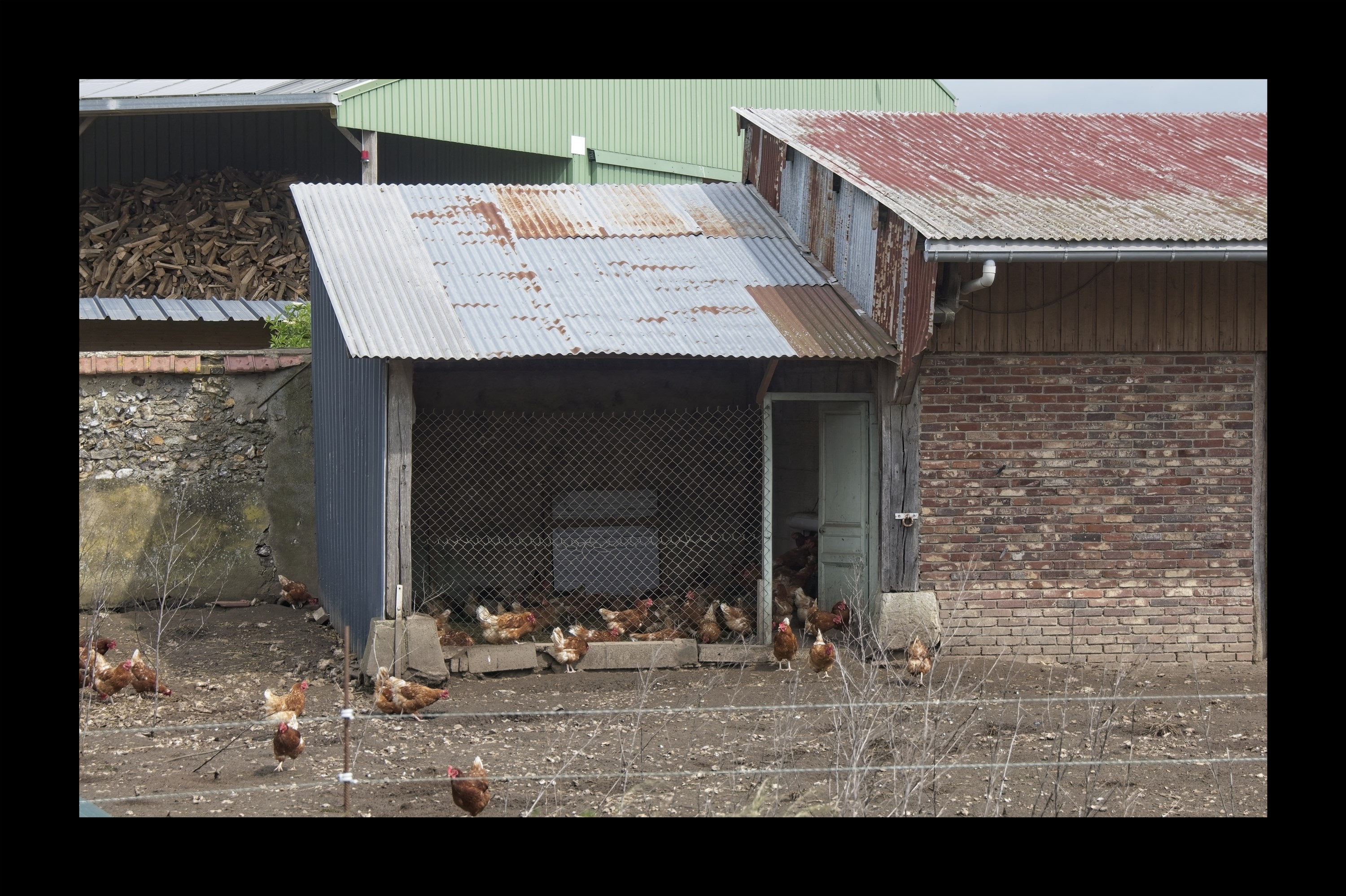 Visite du Rucher de Cantiers