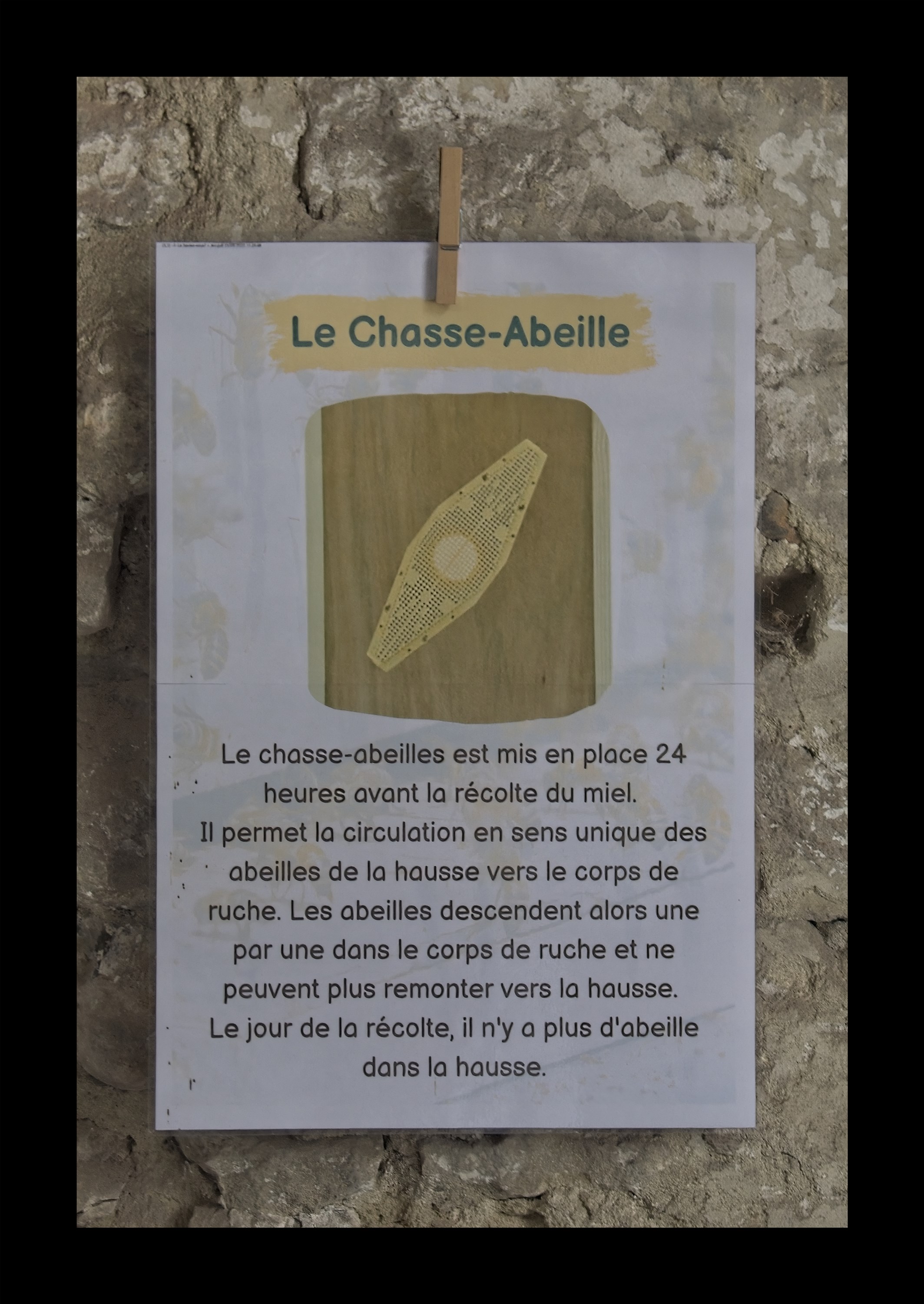 Visite du Rucher de Cantiers