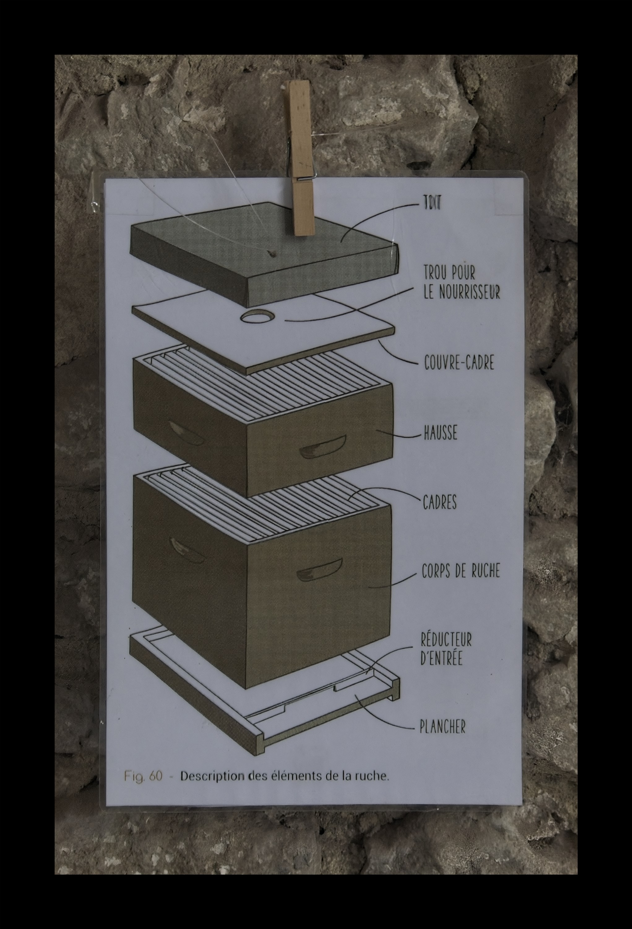 Visite du Rucher de Cantiers