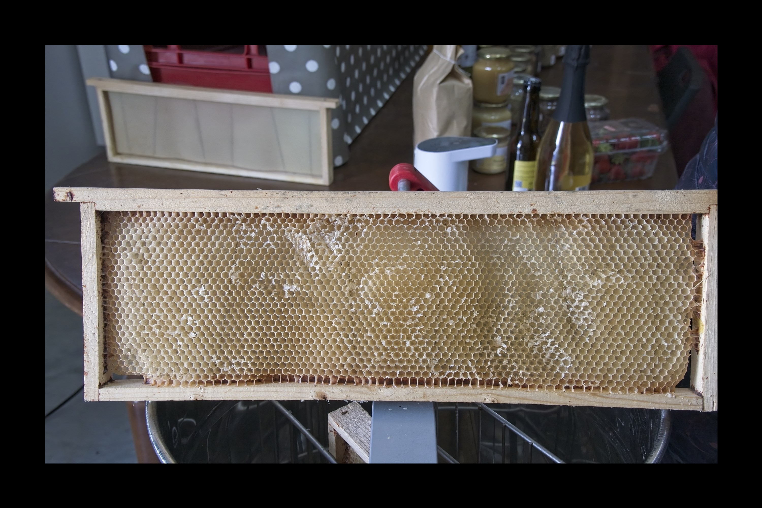 Visite du Rucher de Cantiers