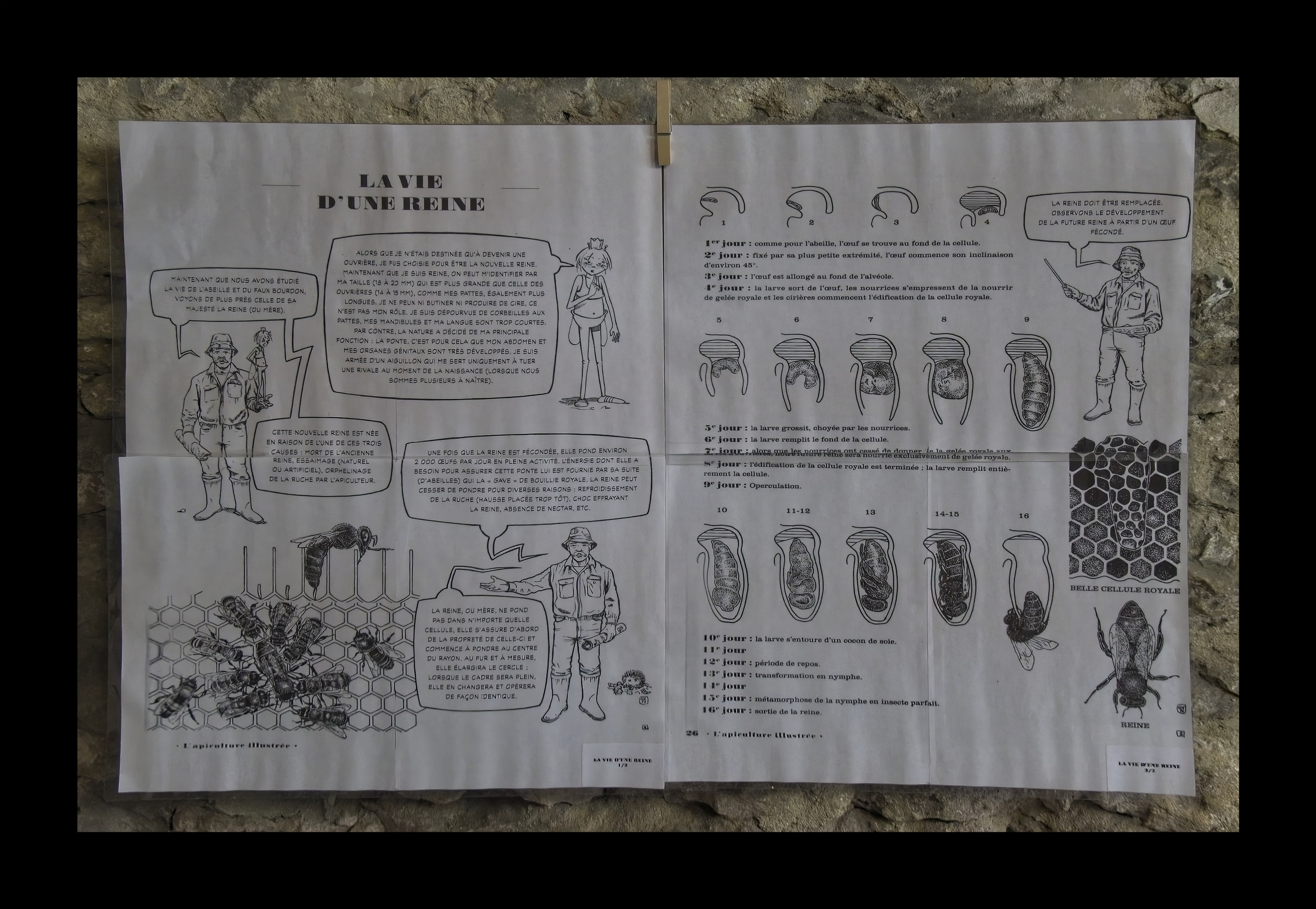 Visite du Rucher de Cantiers