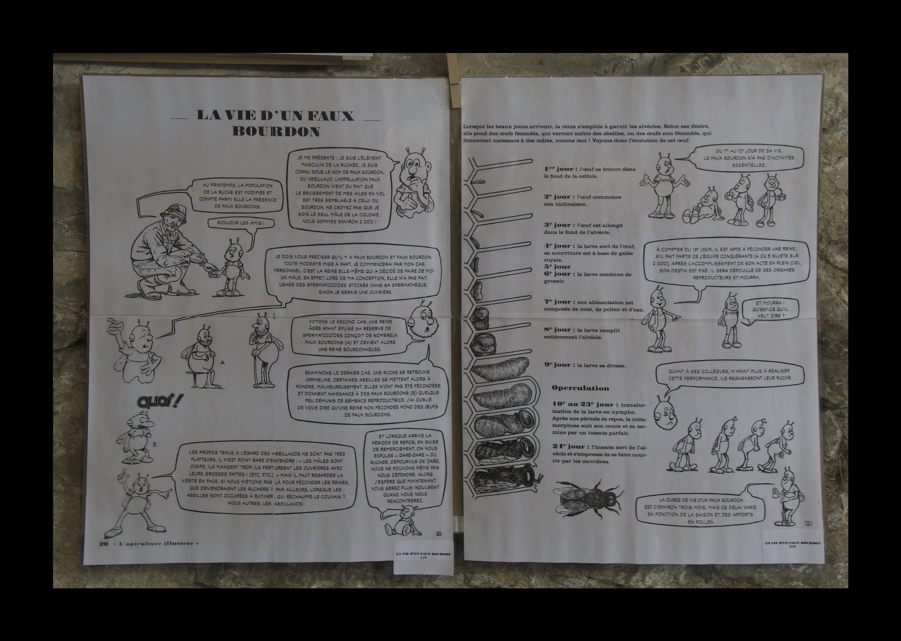 Visite du Rucher de Cantiers